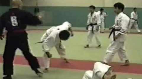 How To Recognize A Martial Arts Fraud / Cult - Dynasty Clothing MMA