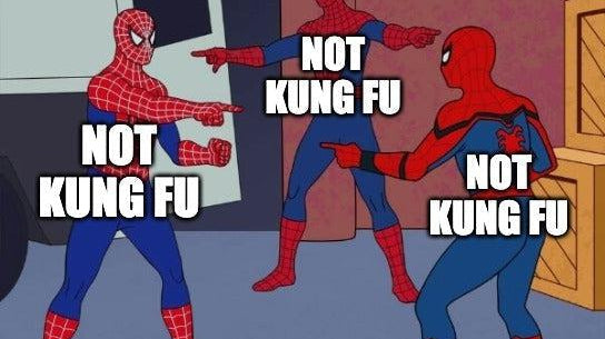 The Problem with Chinese Martial Arts (Schrödinger's Kung Fu) - Dynasty Clothing MMA