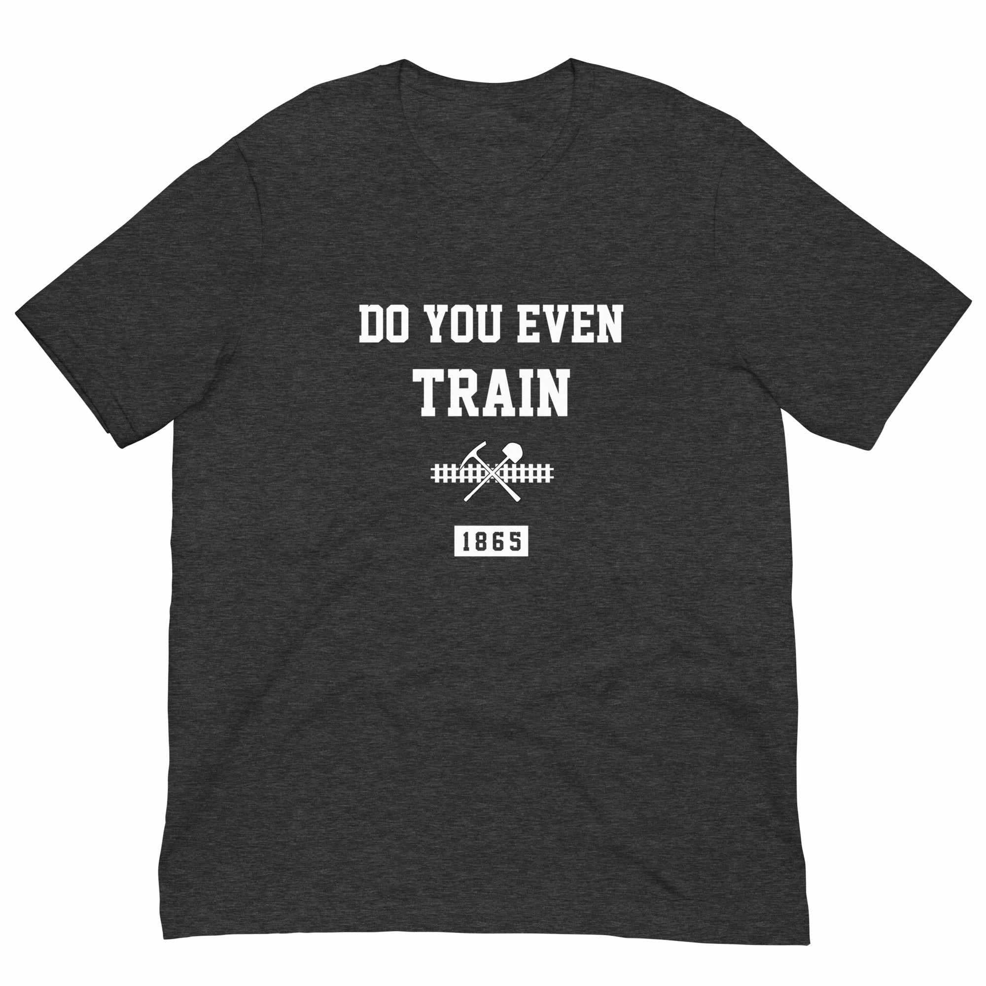 Do You Even Train? T-Shirt (Classic)-T-Shirts - Dynasty Clothing MMA
