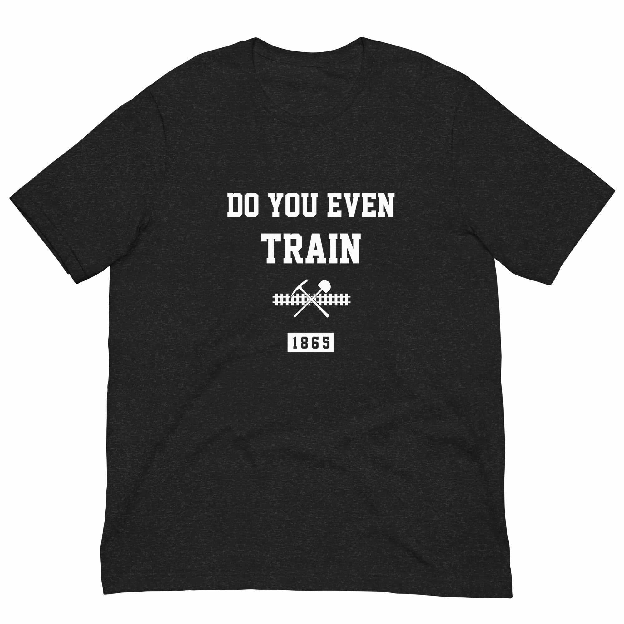 Do You Even Train? T-Shirt (Classic)-T-Shirts - Dynasty Clothing MMA