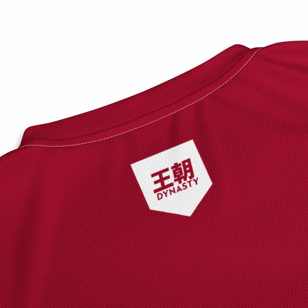 Dynasty Combat Sports Training Shirt (Crimson Red)-Training Shirts - Dynasty Clothing MMA