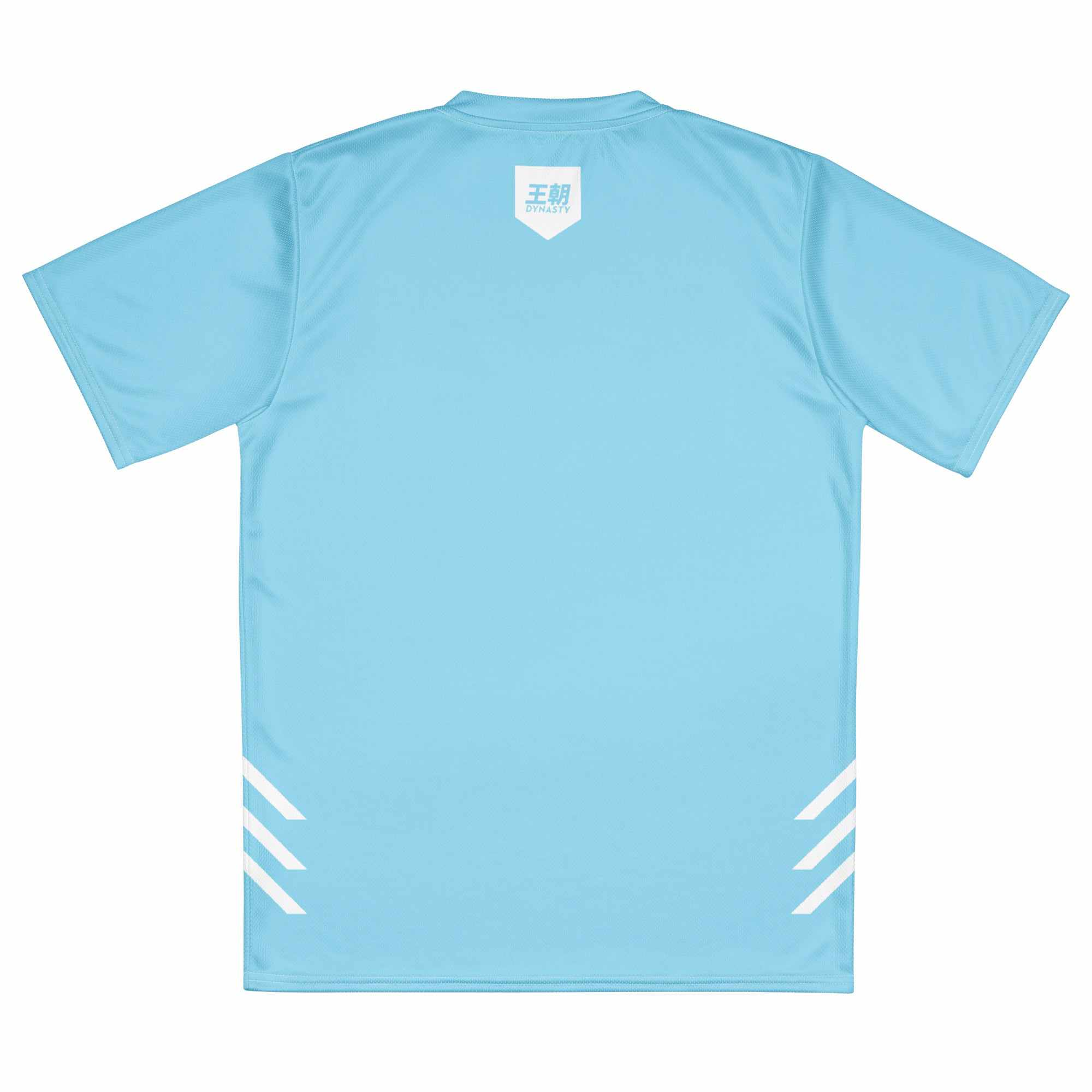 Dynasty Combat Sports Training Shirt (Sky Blue)-Training Shirts - Dynasty Clothing MMA