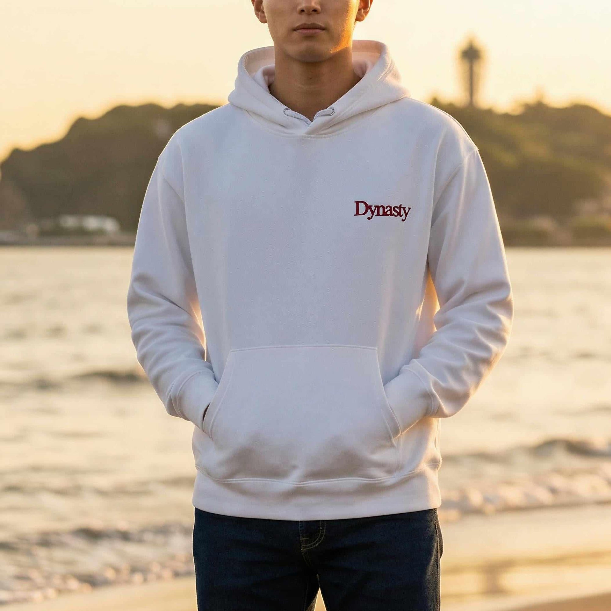 Dynasty "Comet" Premium Embroidered Hoodie-Hoodies / Sweaters - Dynasty Clothing MMA