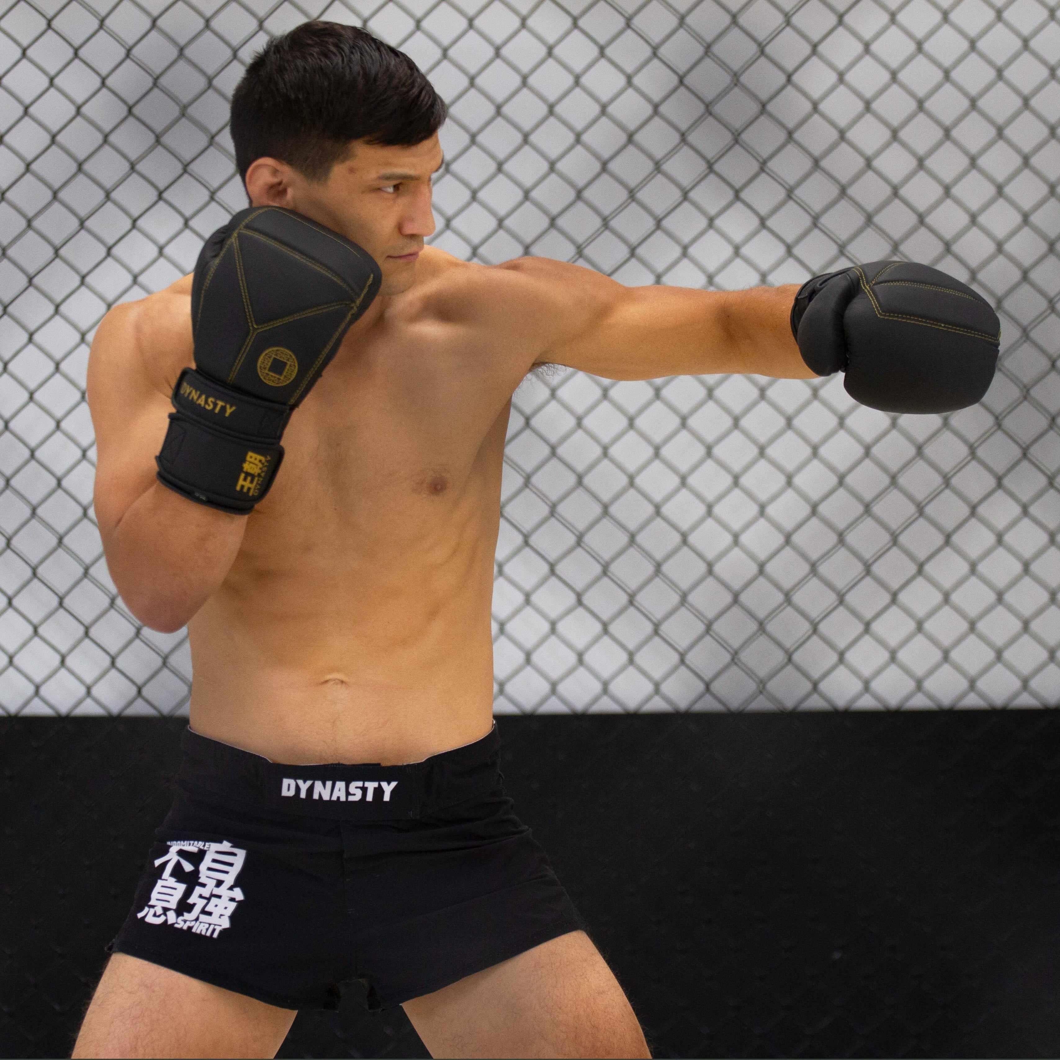 Dynasty Diamond Pro Training Gloves (Matte Black)-Boxing Gloves - Dynasty Clothing MMA