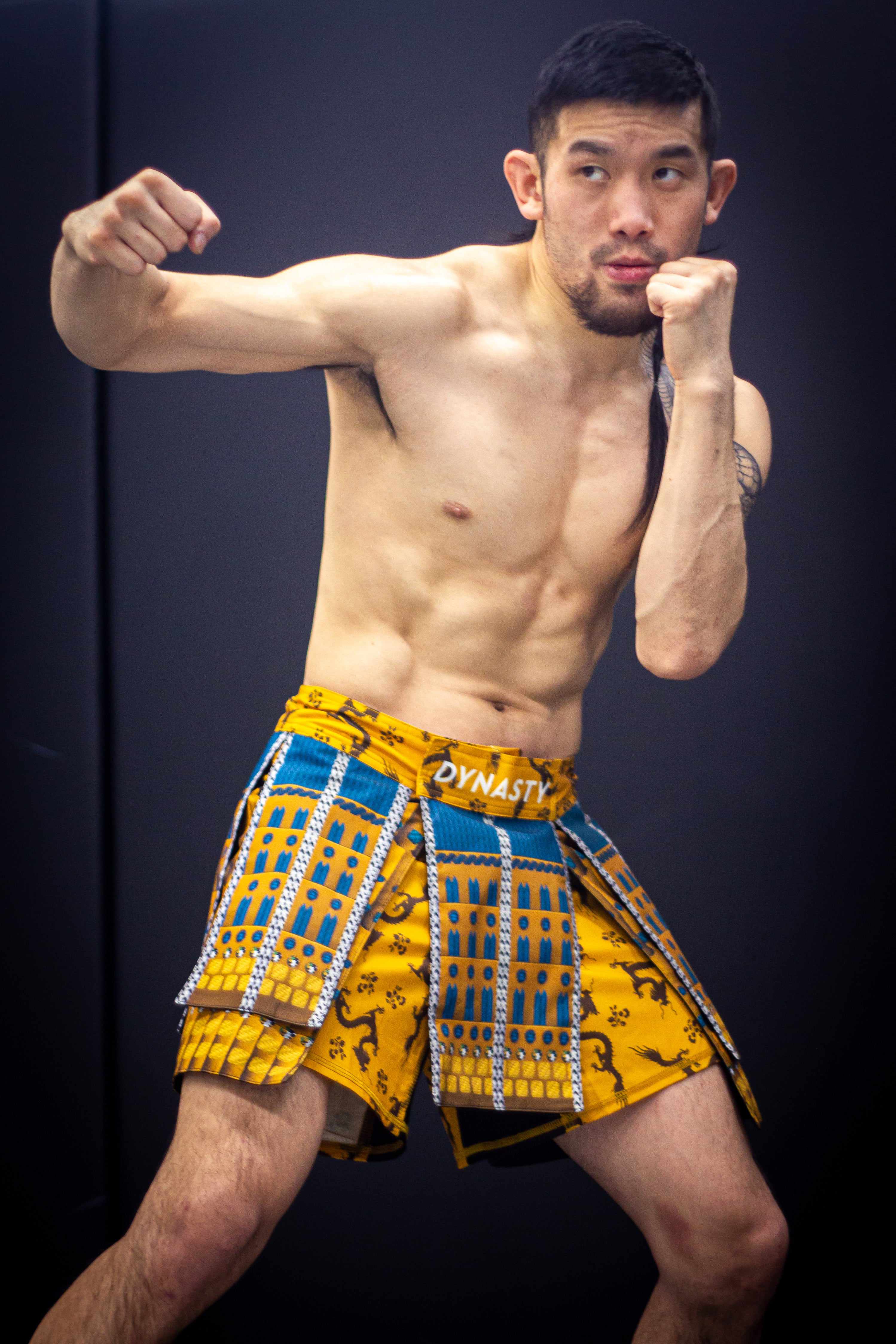 Bushido Samurai Armor Fight Shorts (Gold)-Armor Shorts - Dynasty Clothing MMA