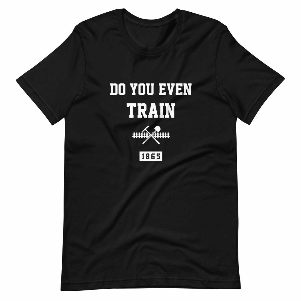 Do You Even Train? T-Shirt (Classic)-T-Shirts - Dynasty Clothing MMA