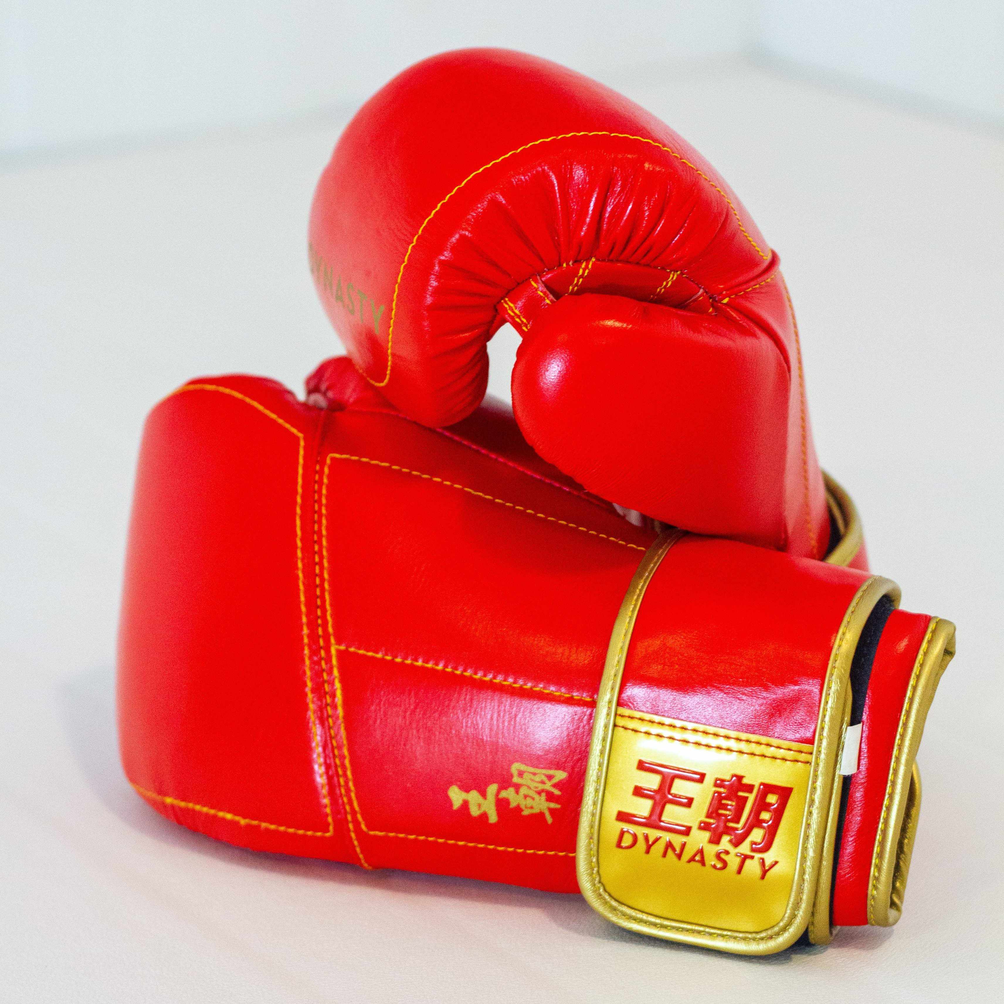 Dynasty Champion 12oz Boxing Gloves-Boxing Gloves - Dynasty Clothing MMA