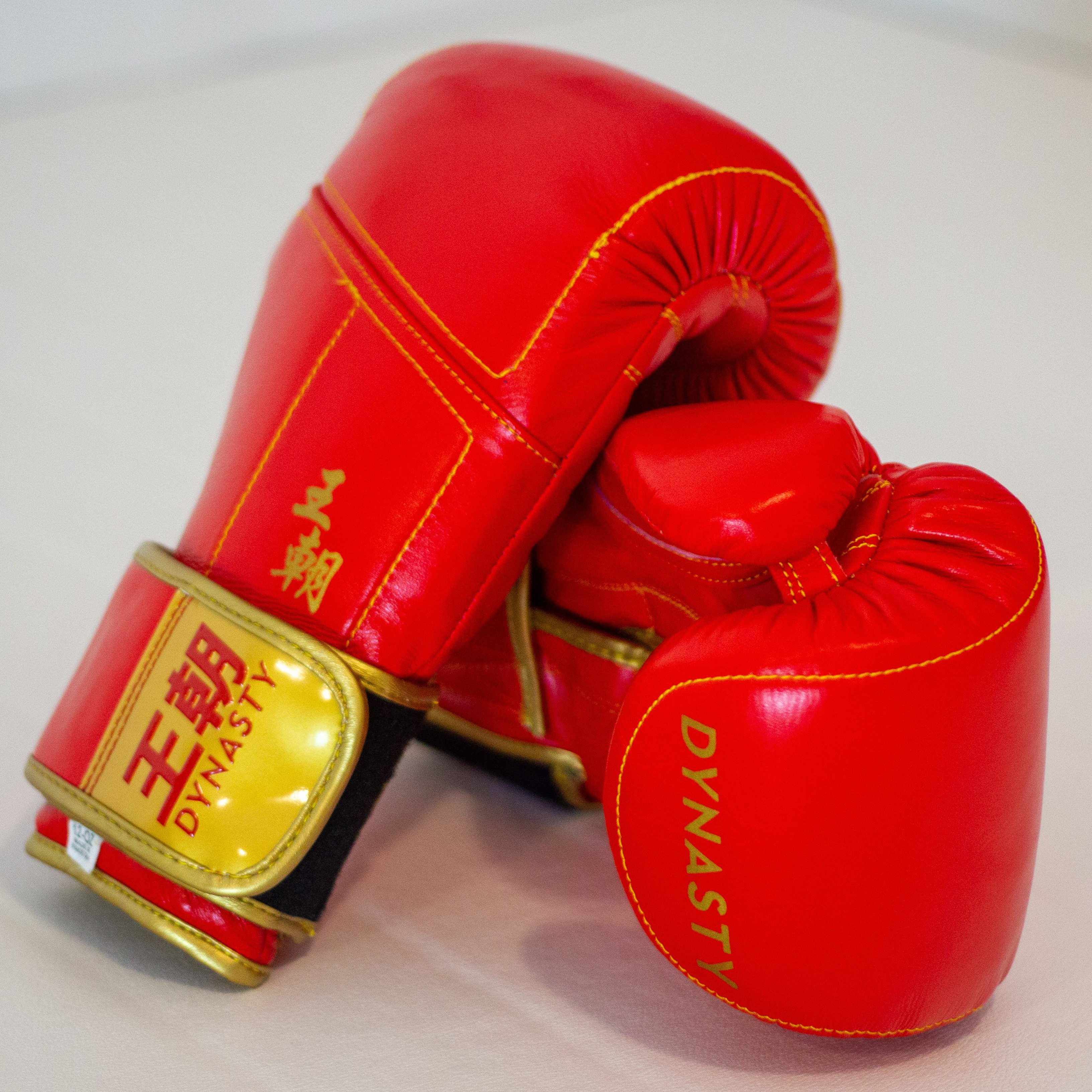 Dynasty Champion 12oz Boxing Gloves-Boxing Gloves - Dynasty Clothing MMA