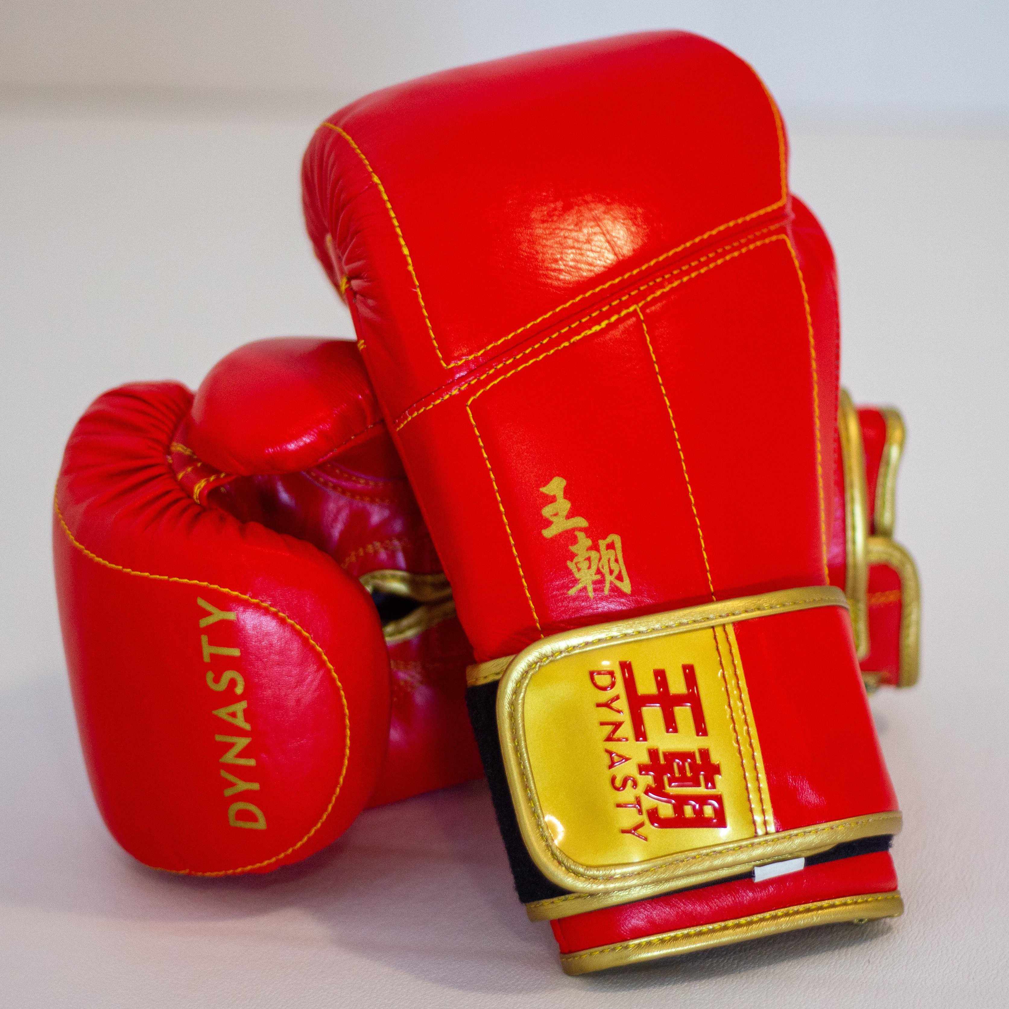 Dynasty Champion 12oz Boxing Gloves-Boxing Gloves - Dynasty Clothing MMA