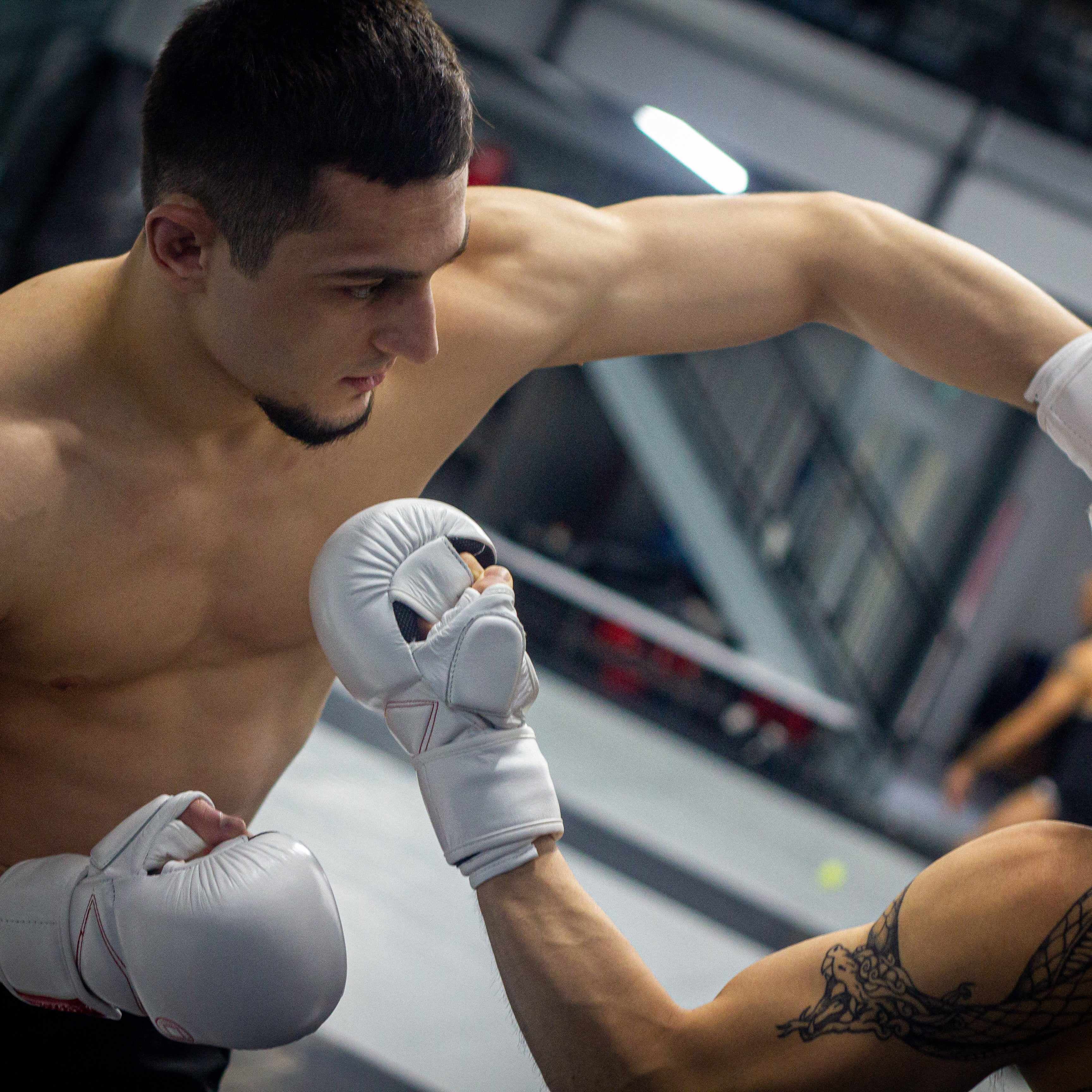 Dynasty Diamond Pro MMA Sparring Gloves (White / Red)-MMA Gloves - Dynasty Clothing MMA