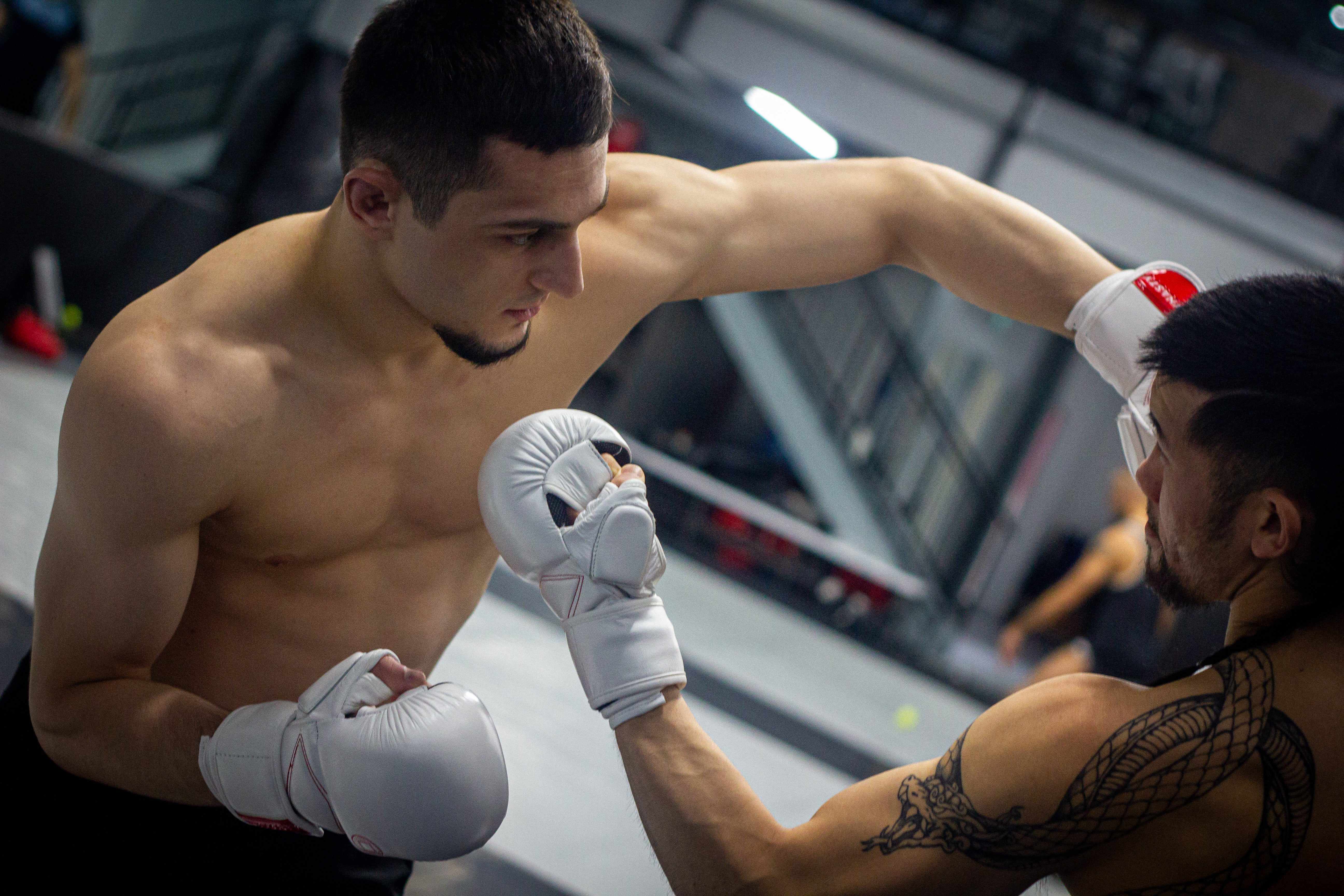 Dynasty Diamond Pro MMA Sparring Gloves (White / Red)-MMA Gloves - Dynasty Clothing MMA