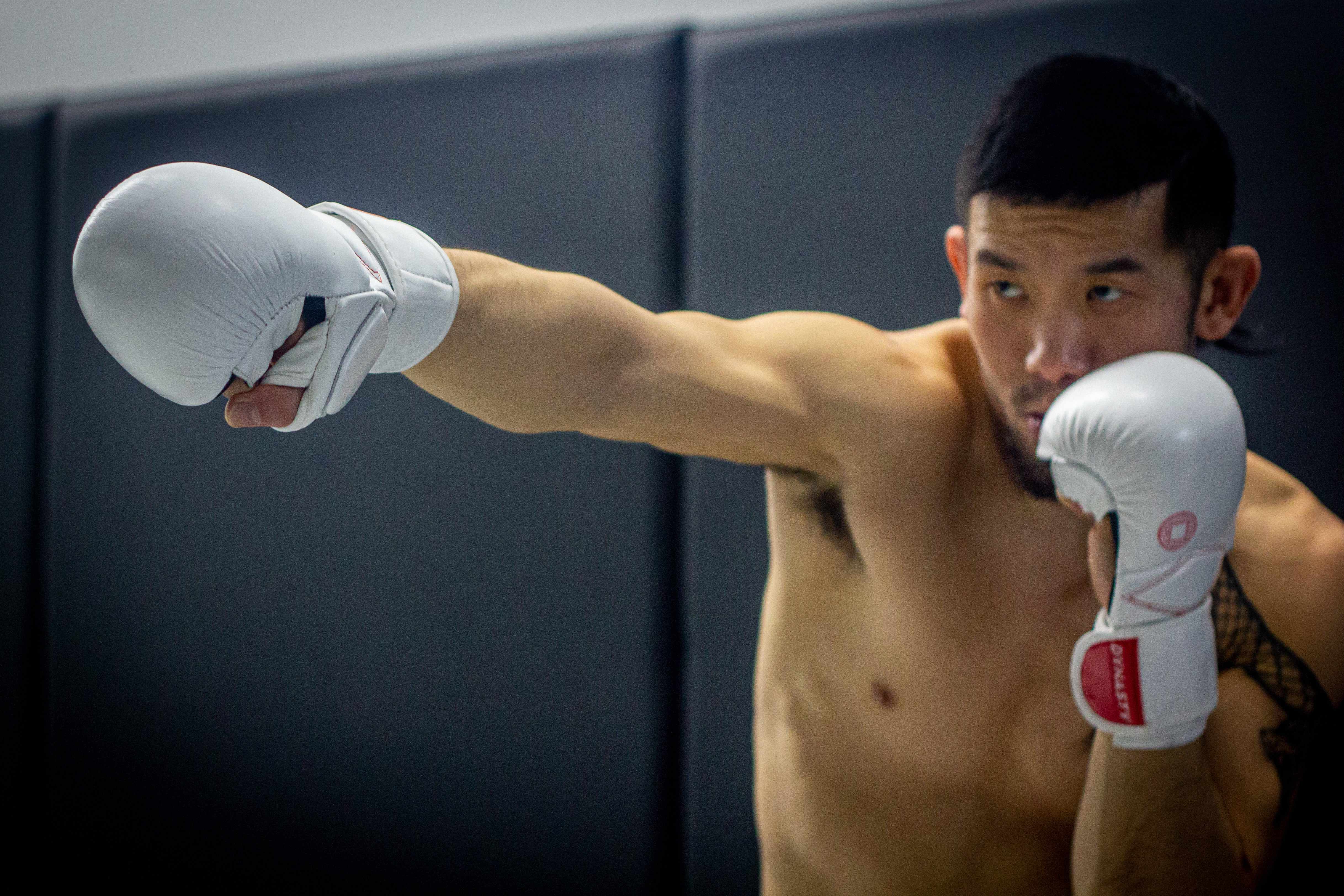 Dynasty Diamond Pro MMA Sparring Gloves (White / Red)-MMA Gloves - Dynasty Clothing MMA