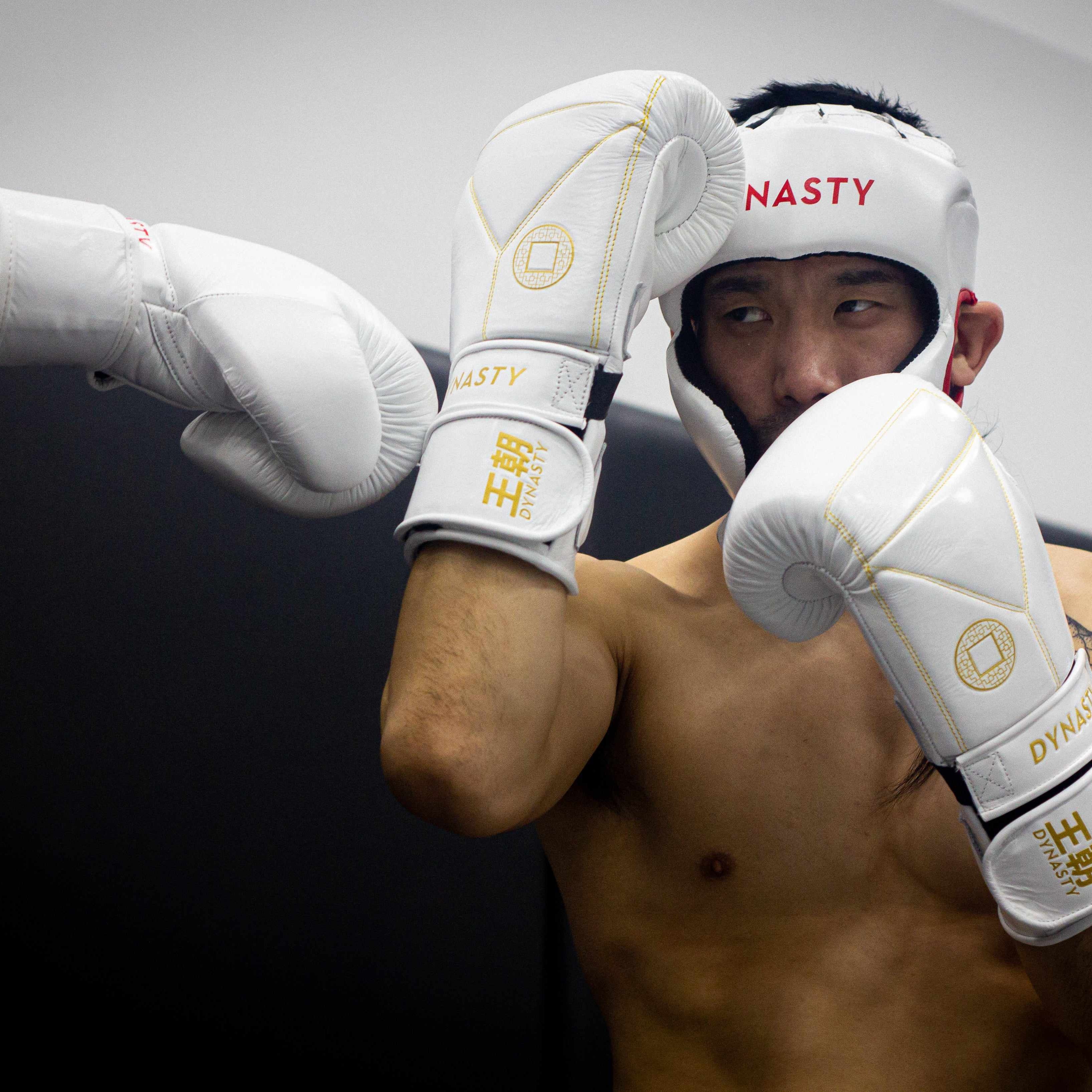 Dynasty Diamond Pro Training Gloves (White / Gold)-Boxing Gloves - Dynasty Clothing MMA