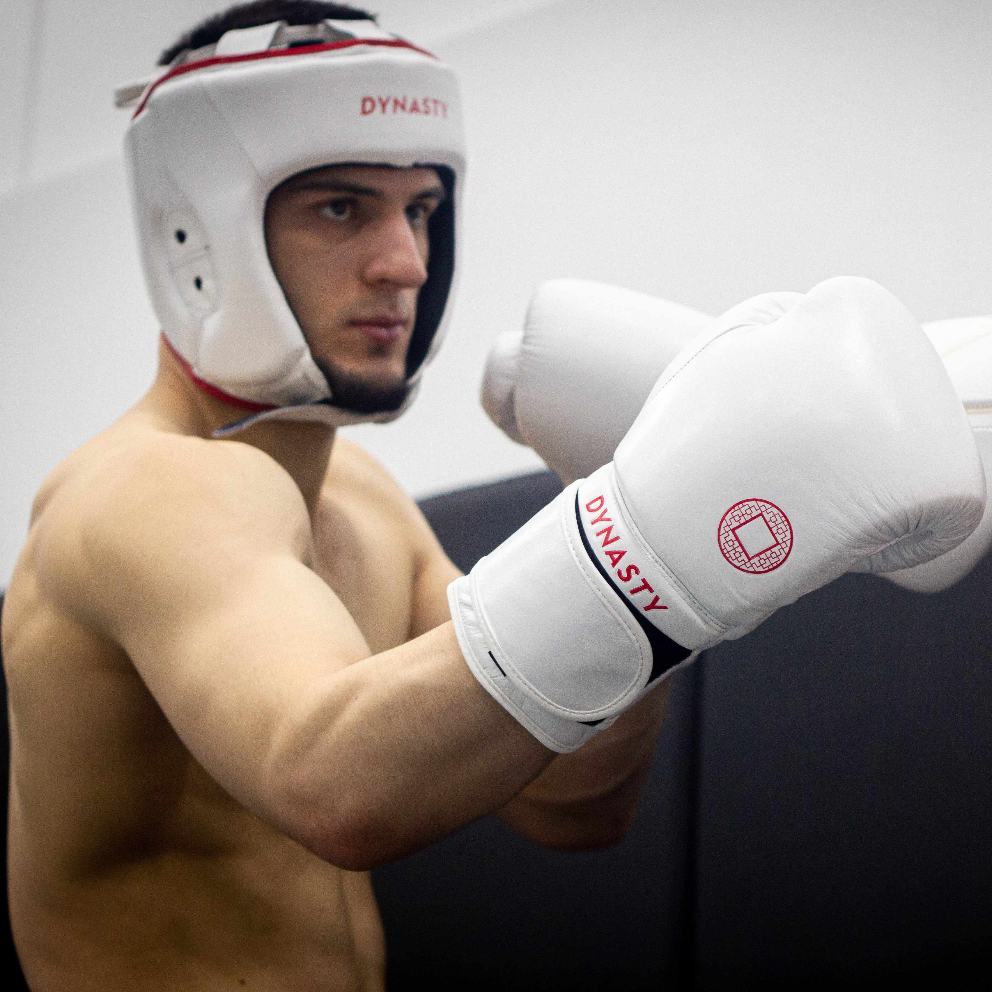 Dynasty Emperor 3 Boxing Gloves (White / Red)-Boxing Gloves - Dynasty Clothing MMA