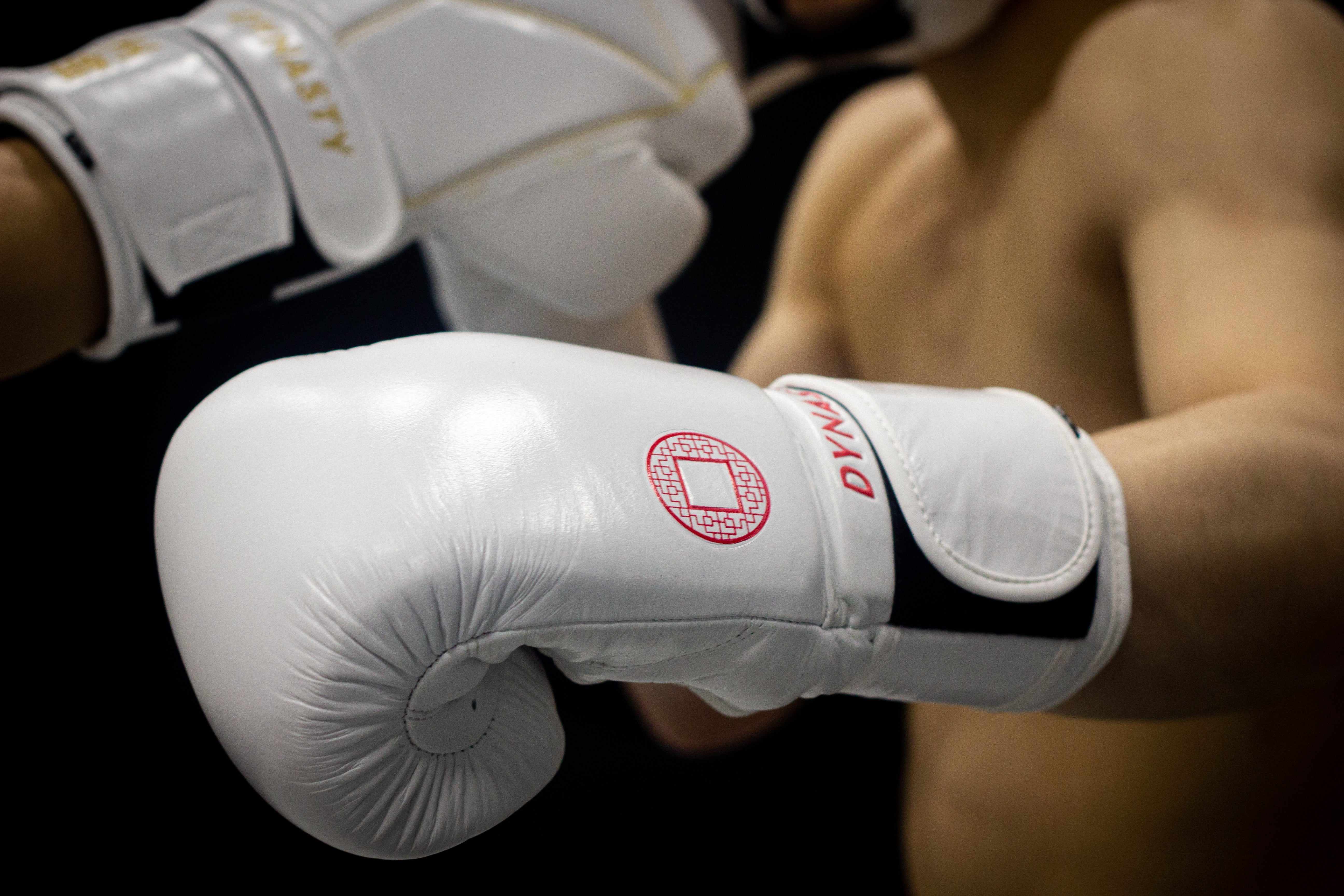 Dynasty Emperor 3 Boxing Gloves (White / Red)-Boxing Gloves - Dynasty Clothing MMA