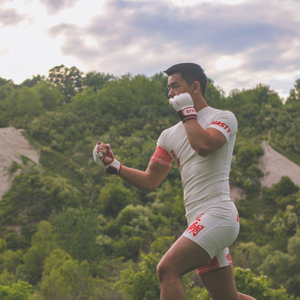 Dynasty Emperor MMA Fight Gloves-MMA Gloves - Dynasty Clothing MMA