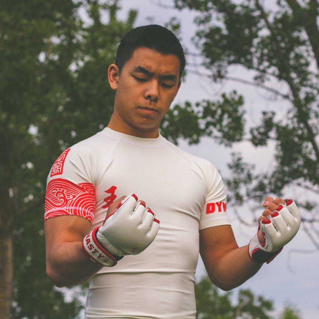 Dynasty Emperor MMA Fight Gloves-MMA Gloves - Dynasty Clothing MMA