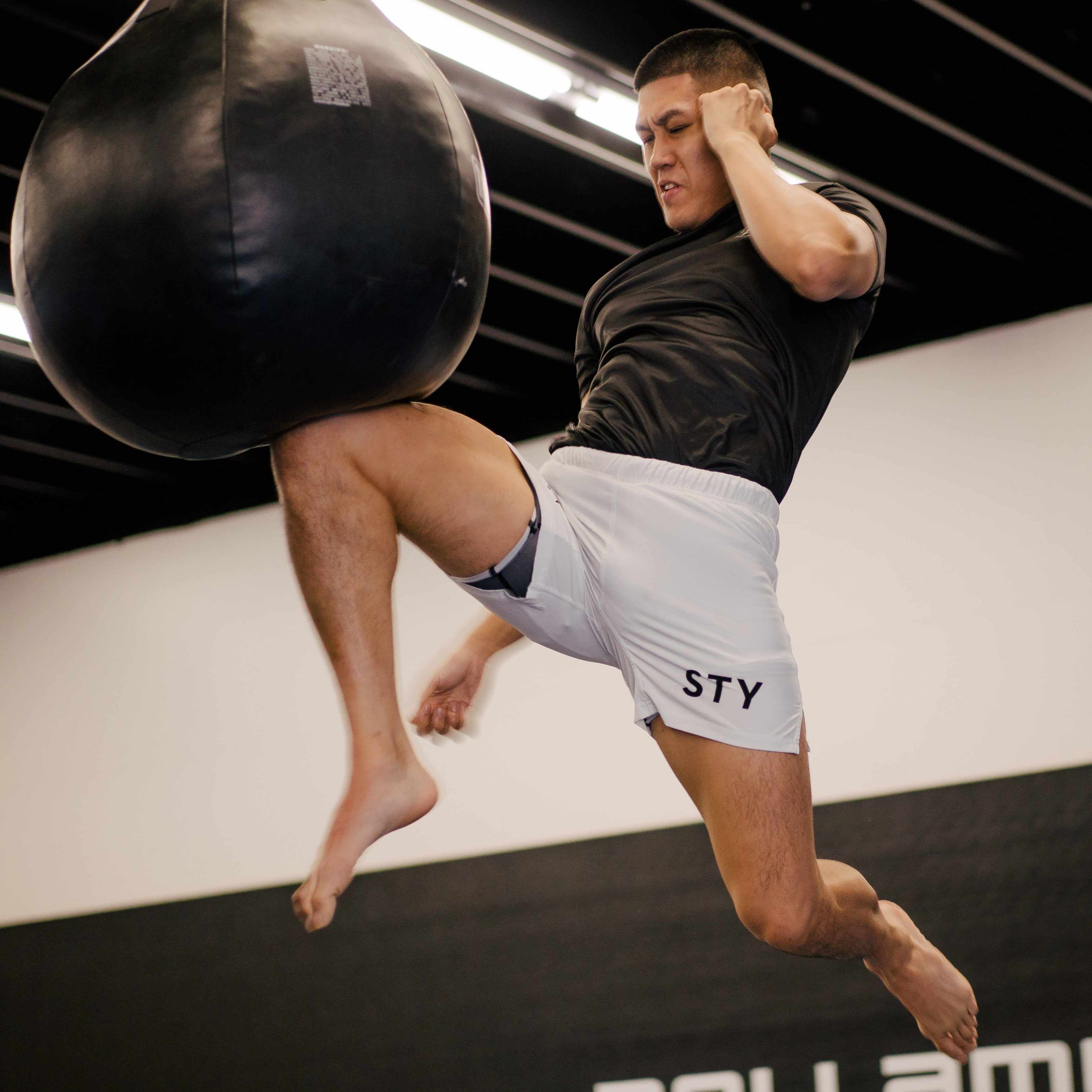 Dynasty Hybrid Competition Shorts (White)-Hybrid Shorts - Dynasty Clothing MMA