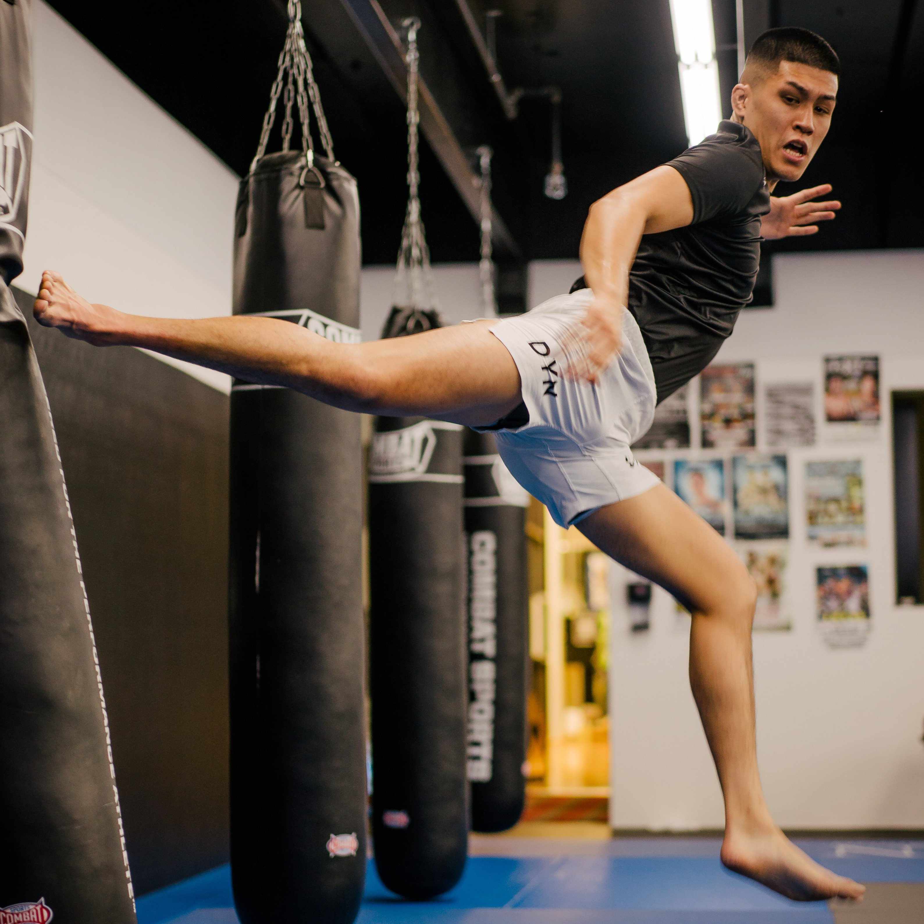 Dynasty Hybrid Competition Shorts (White)-Hybrid Shorts - Dynasty Clothing MMA