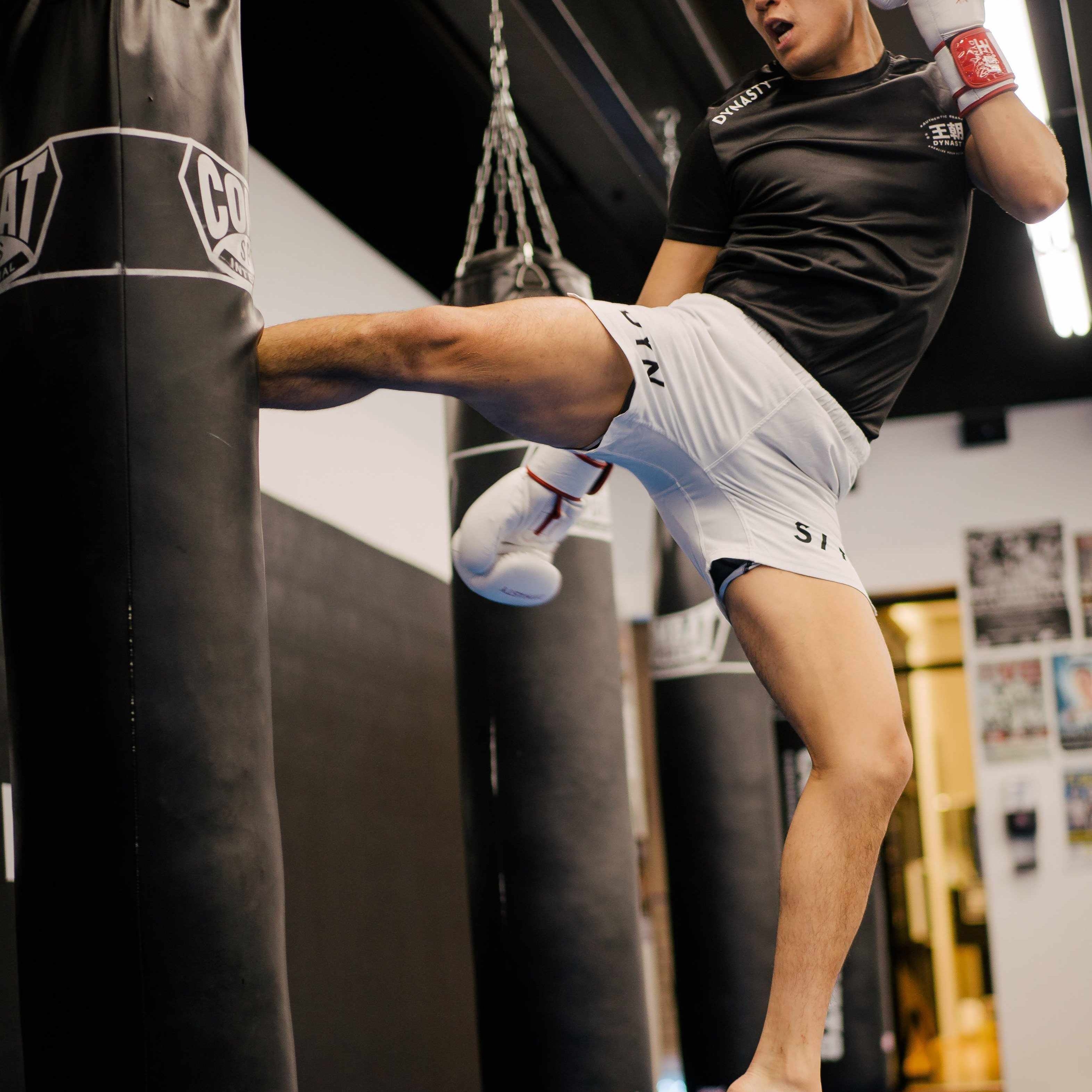 Dynasty Hybrid Competition Shorts (White)-Hybrid Shorts - Dynasty Clothing MMA