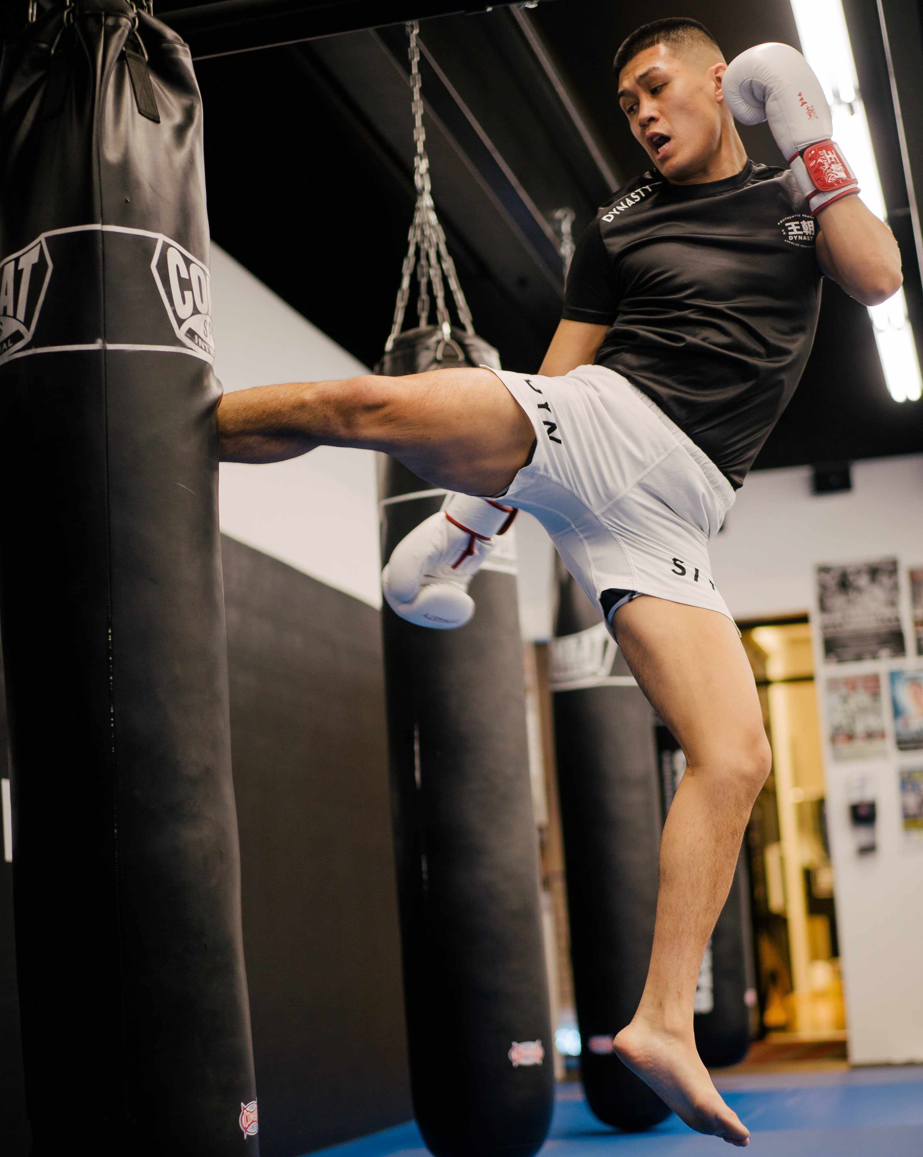 Dynasty Hybrid Competition Shorts (White)-Hybrid Shorts - Dynasty Clothing MMA