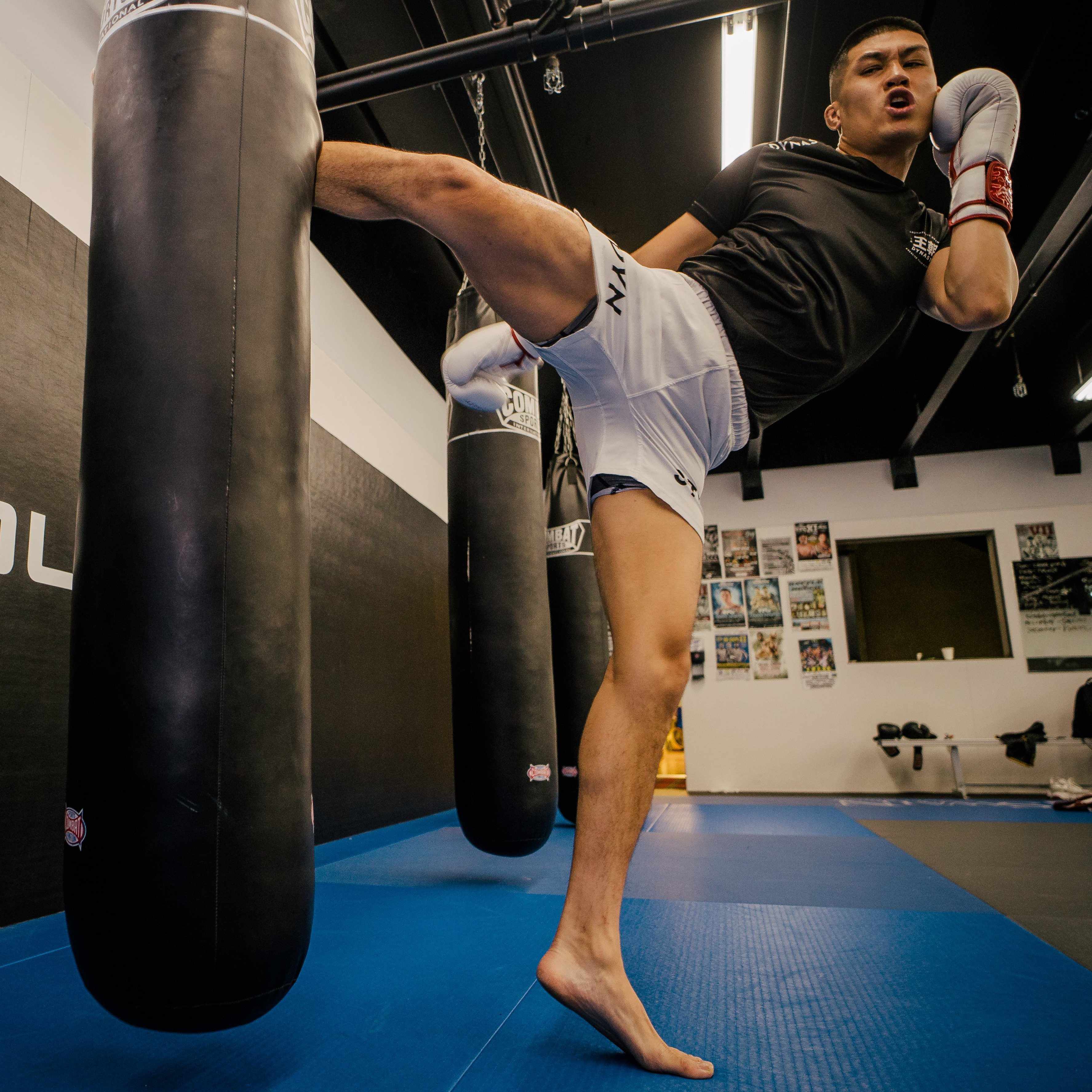 Dynasty Hybrid Competition Shorts (White)-Hybrid Shorts - Dynasty Clothing MMA