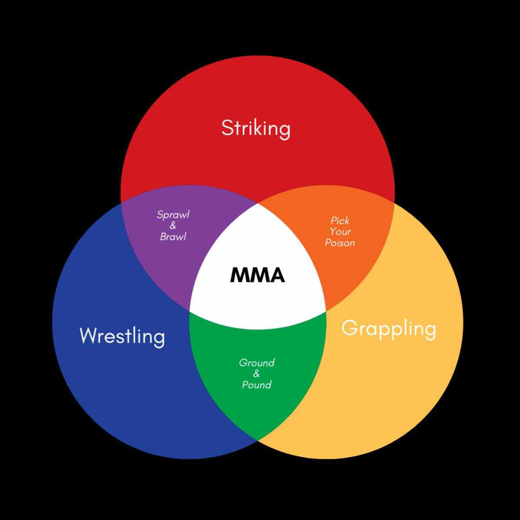 MMA Categories Venn Diagram T-Shirt-T-Shirts - Dynasty Clothing MMA
