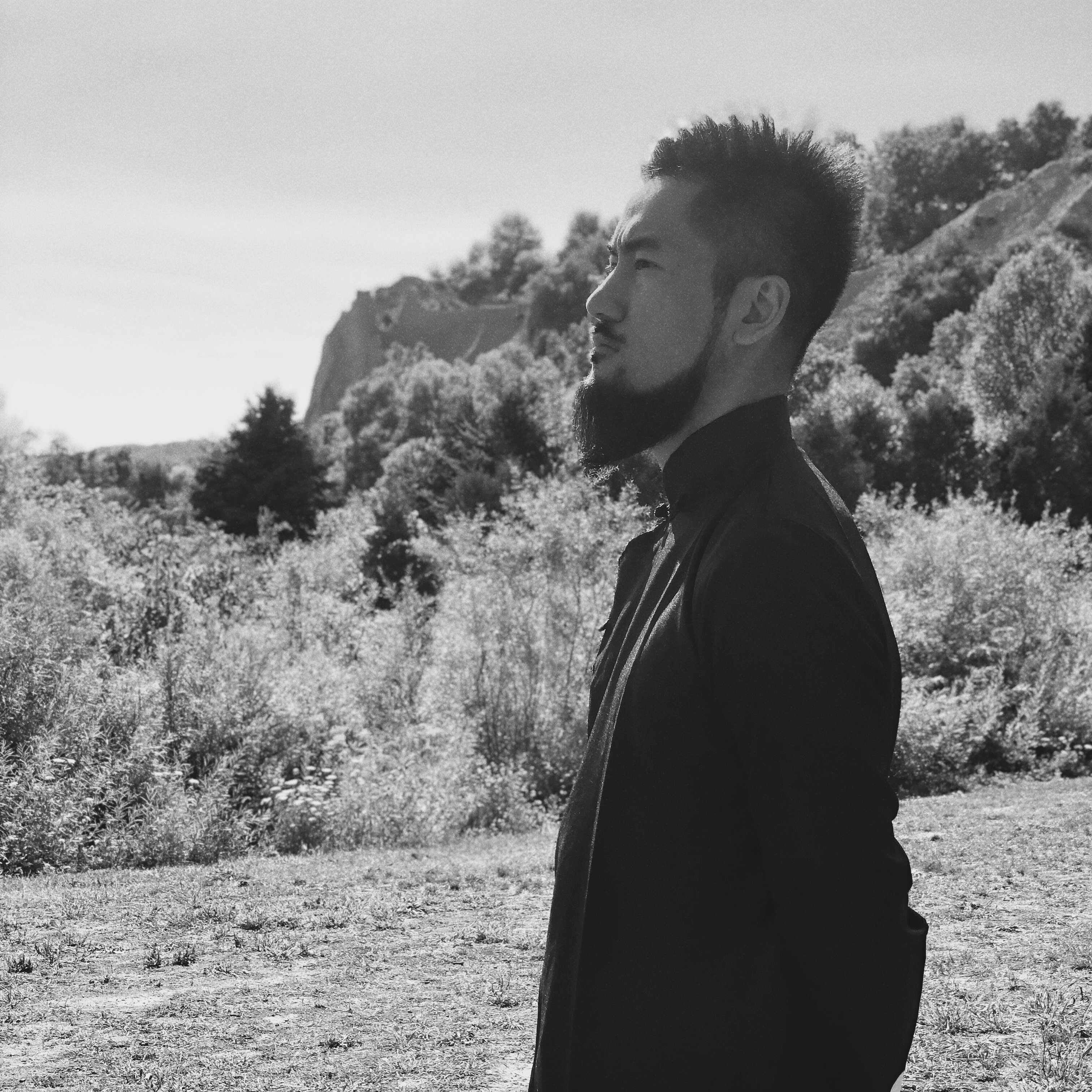 Neo Classic Ip Man Cheongsam (Various Colours)-Neo Dynasty - Dynasty Clothing MMA