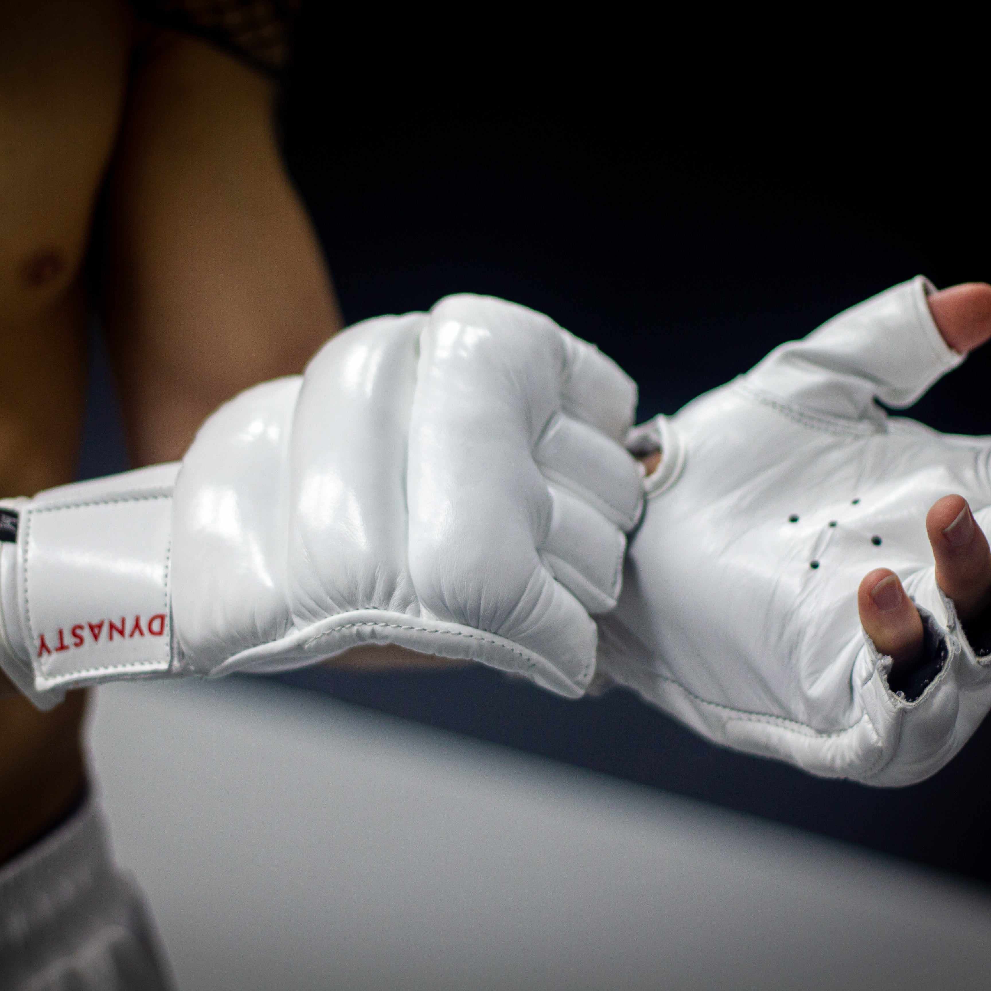 "Ultimate" Kyokushin / Kudo Karate Combat / MMA Gloves-MMA Gloves - Dynasty Clothing MMA