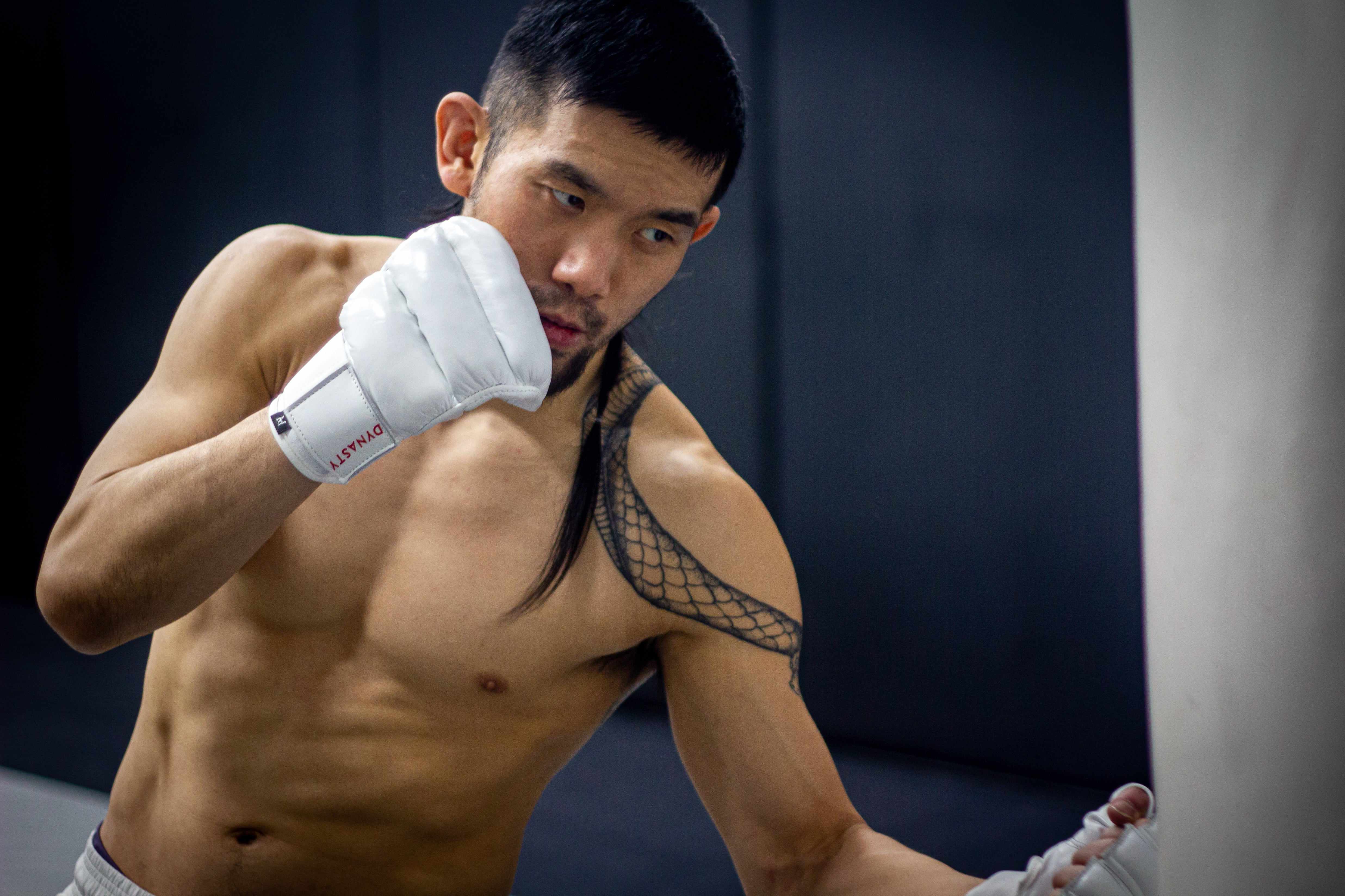 "Ultimate" Kyokushin / Kudo Karate Combat / MMA Gloves-MMA Gloves - Dynasty Clothing MMA