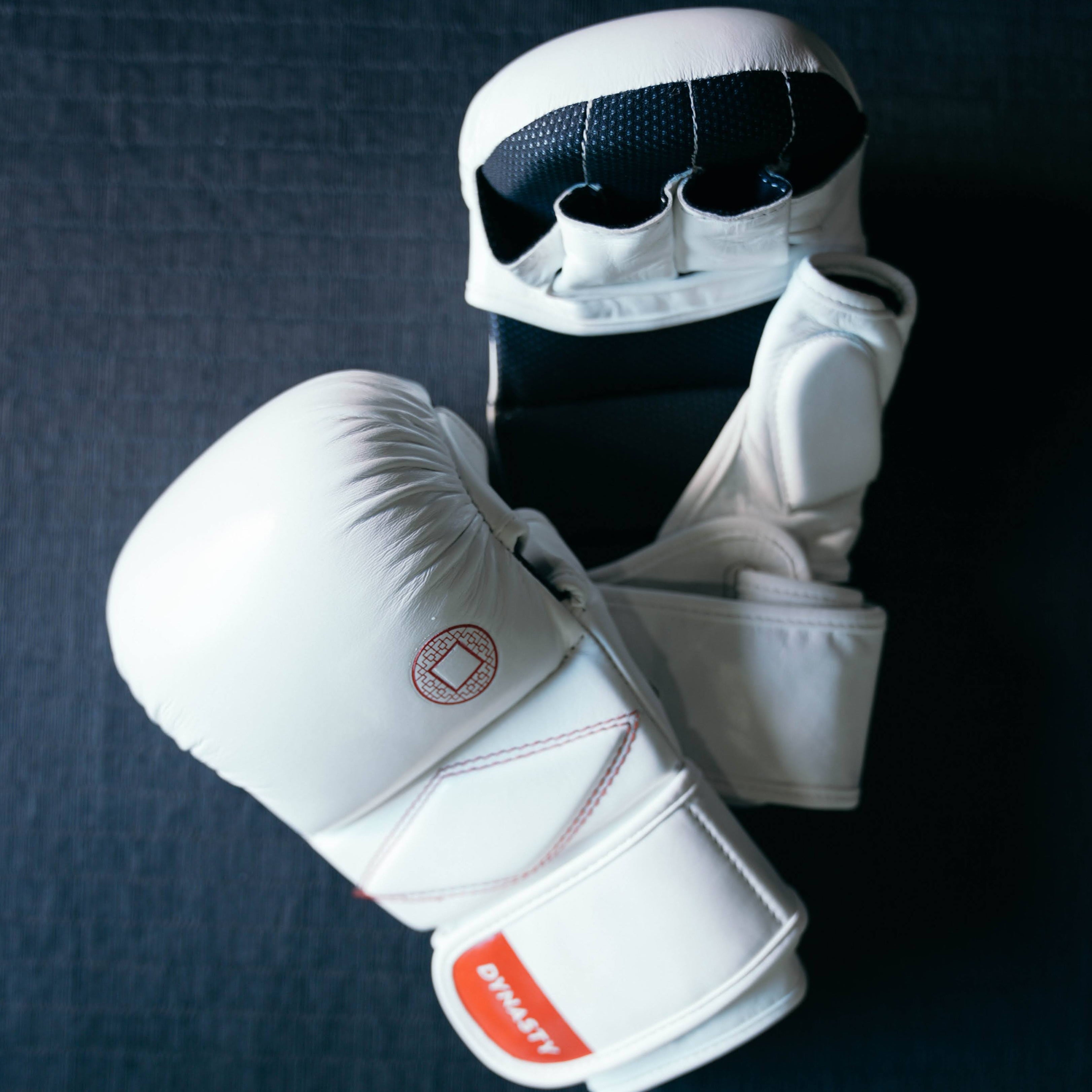 MMA Sparring / Fight Gloves - Dynasty Clothing MMA