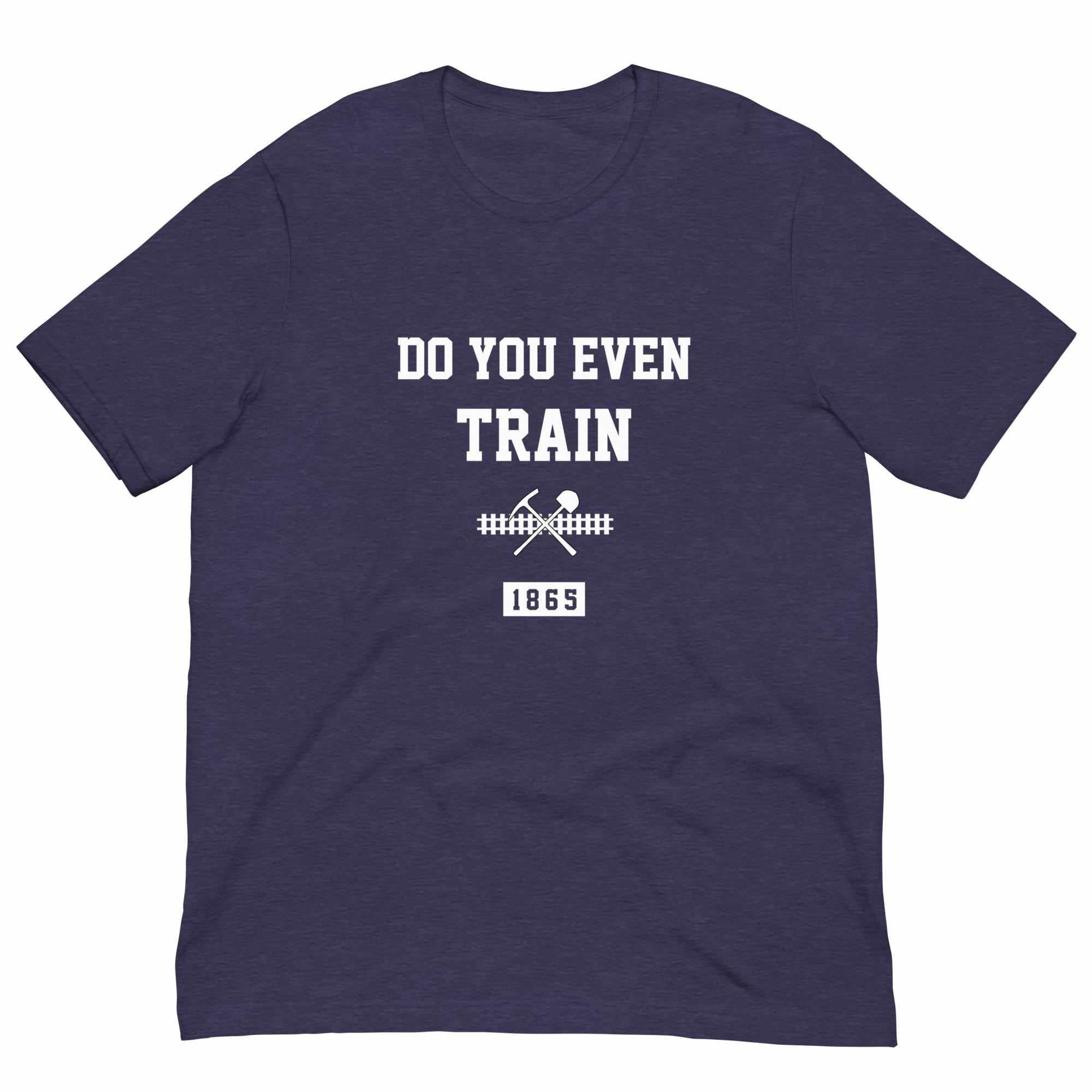 Do You Even Train? T-Shirt (Classic)-T-Shirts - Dynasty Clothing MMA