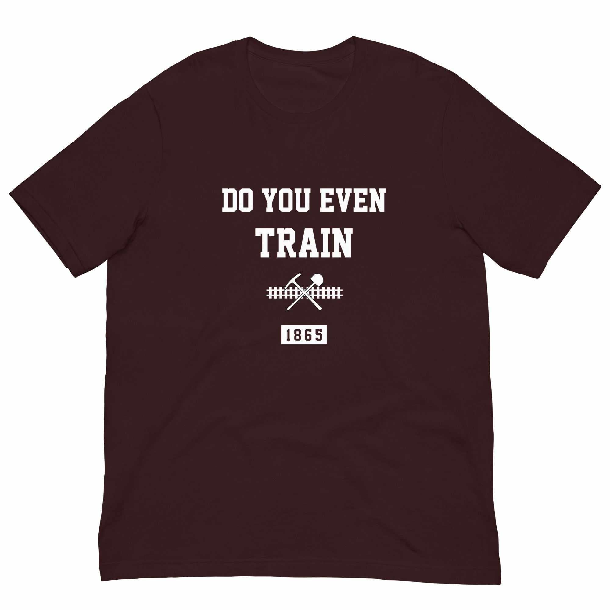 Do You Even Train? T-Shirt (Classic)-T-Shirts - Dynasty Clothing MMA