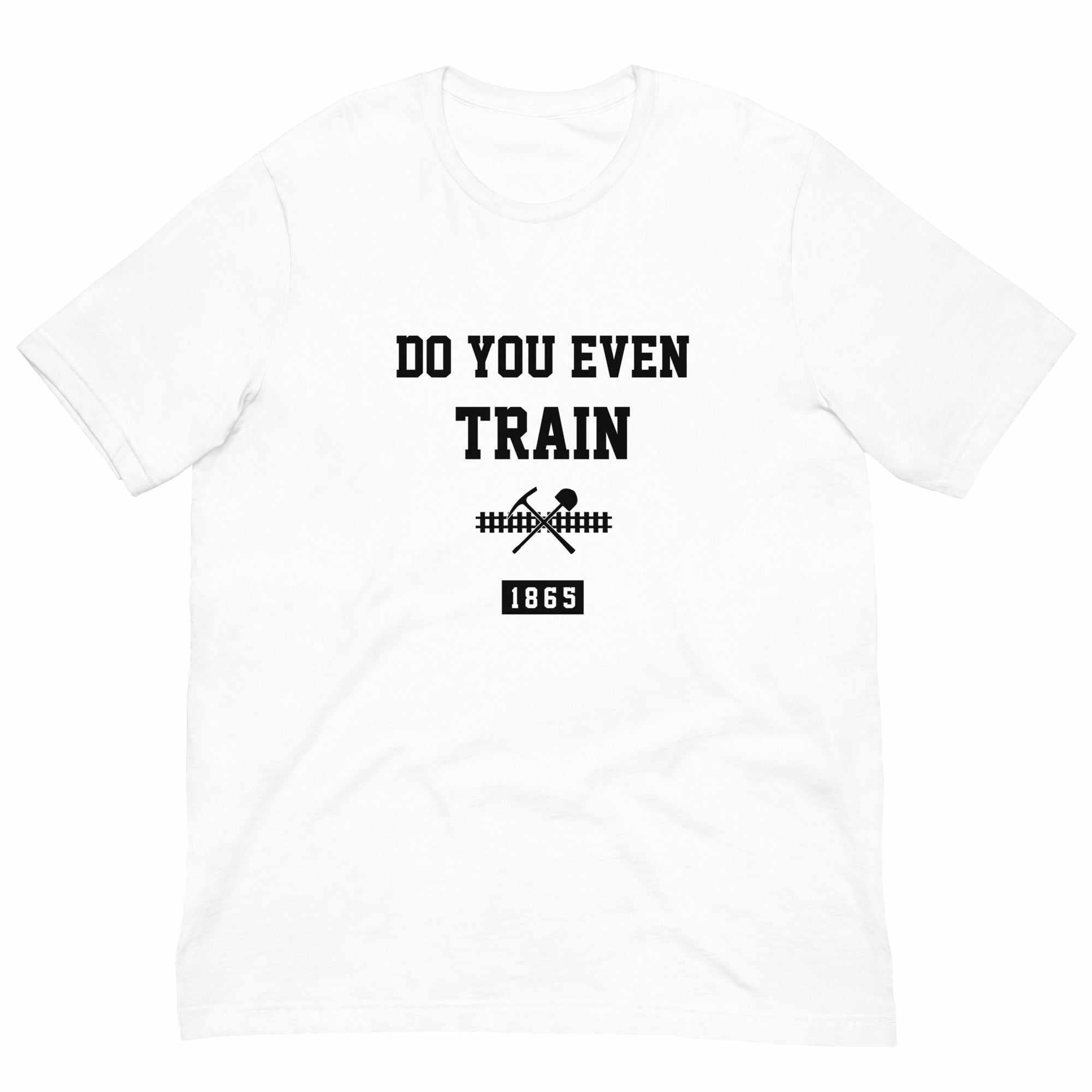 Do You Even Train? T-Shirt (Classic)-T-Shirts - Dynasty Clothing MMA