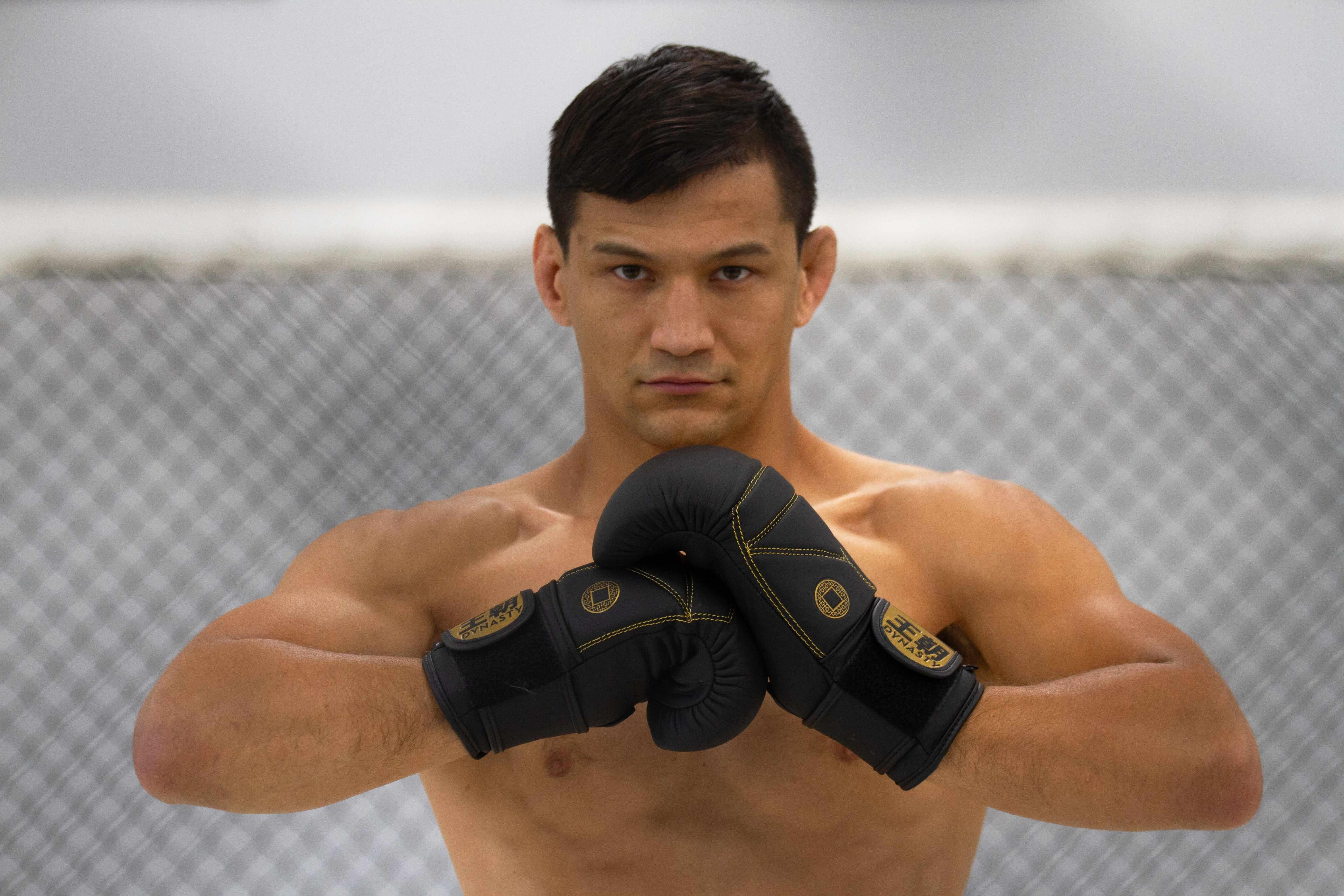 Dynasty Diamond Pro Old School Boxing Bag Gloves (Matte Black)-Boxing Gloves - Dynasty Clothing MMA