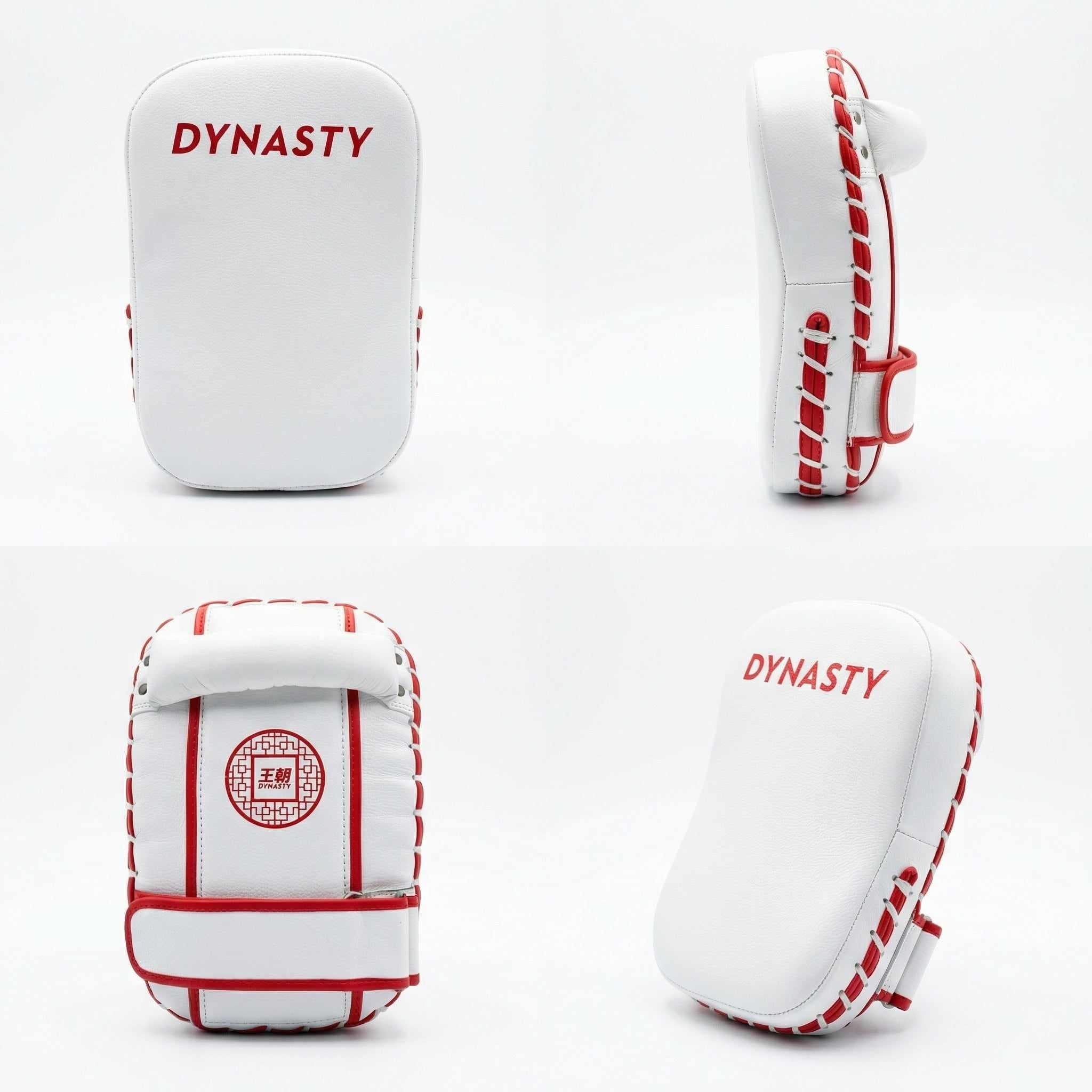 Dynasty Mini "Tofu" Striking Pads-Coaching Equipment - Dynasty Clothing MMA