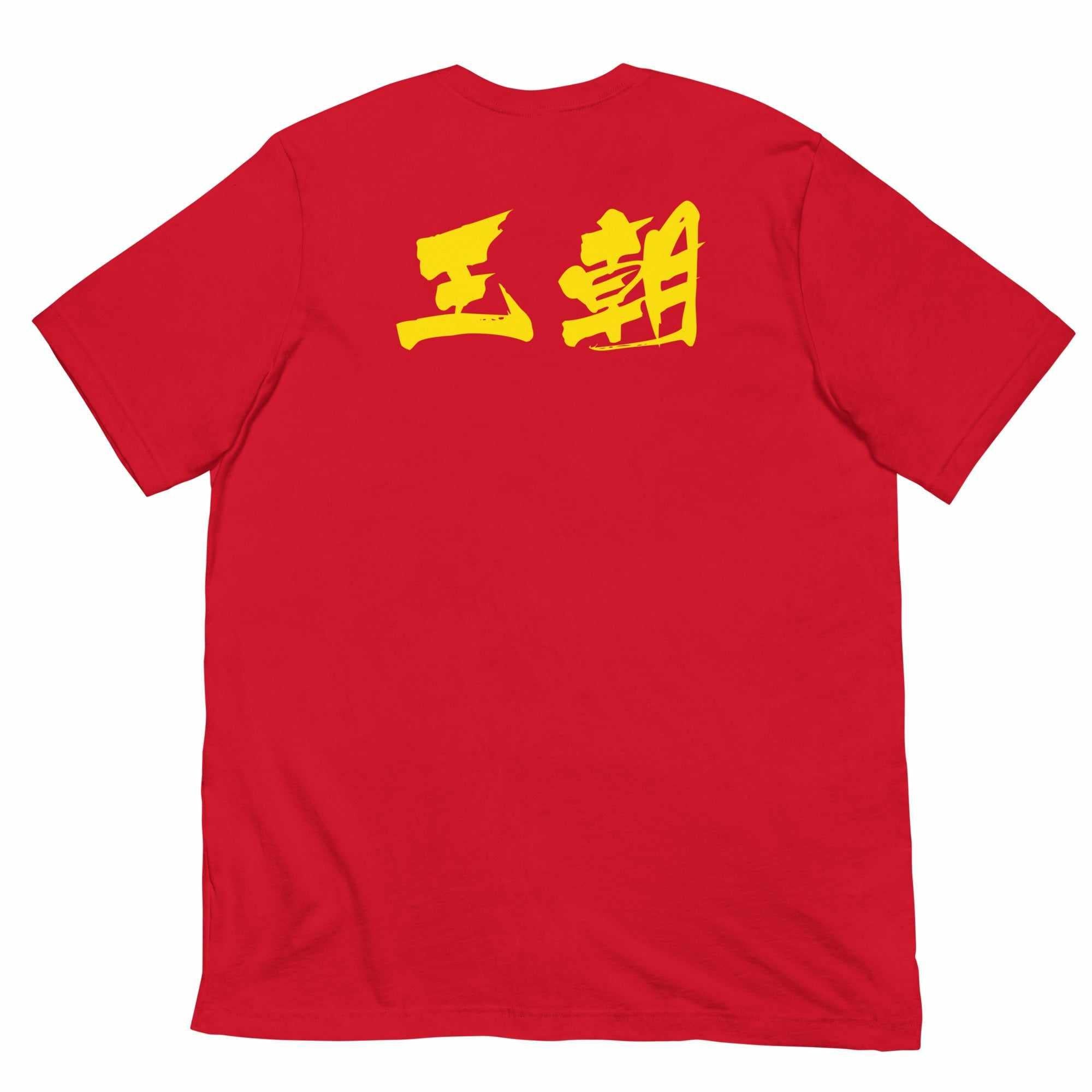 散打 Sanda / Sanshou Kung Fu (Chinese Kickboxing) Graphic T-Shirt-T-Shirts - Dynasty Clothing MMA