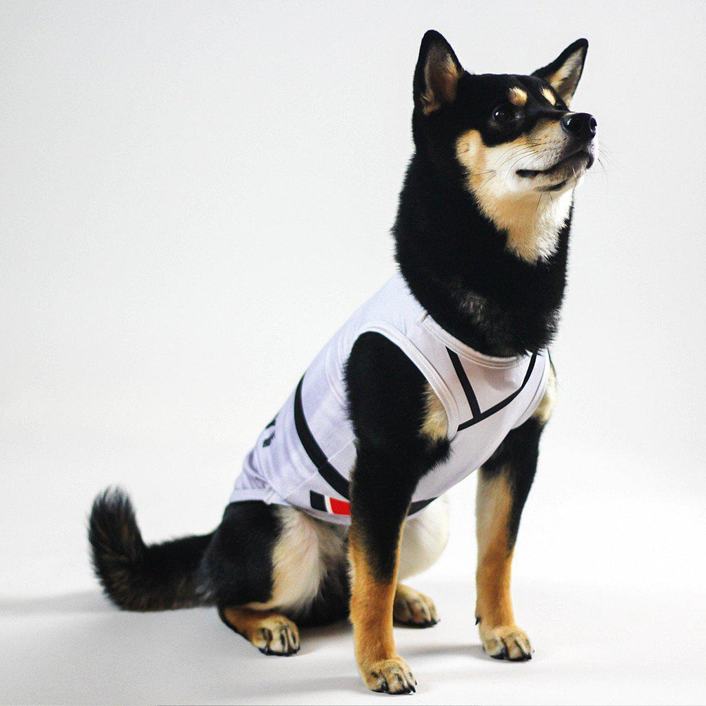 Dog Jitsu Black Belt Shirt-Limited Edition / Special - Dynasty Clothing MMA