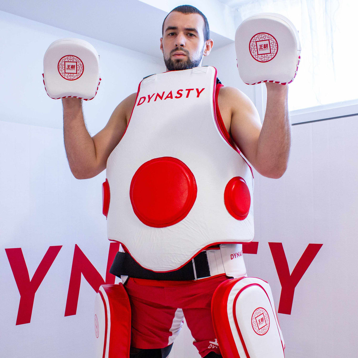 Dynasty Boxing Mini Focus Mitts-Coaching Equipment - Dynasty Clothing MMA
