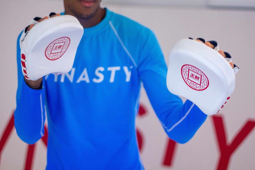 Dynasty Boxing Mini Focus Mitts-Coaching Equipment - Dynasty Clothing MMA