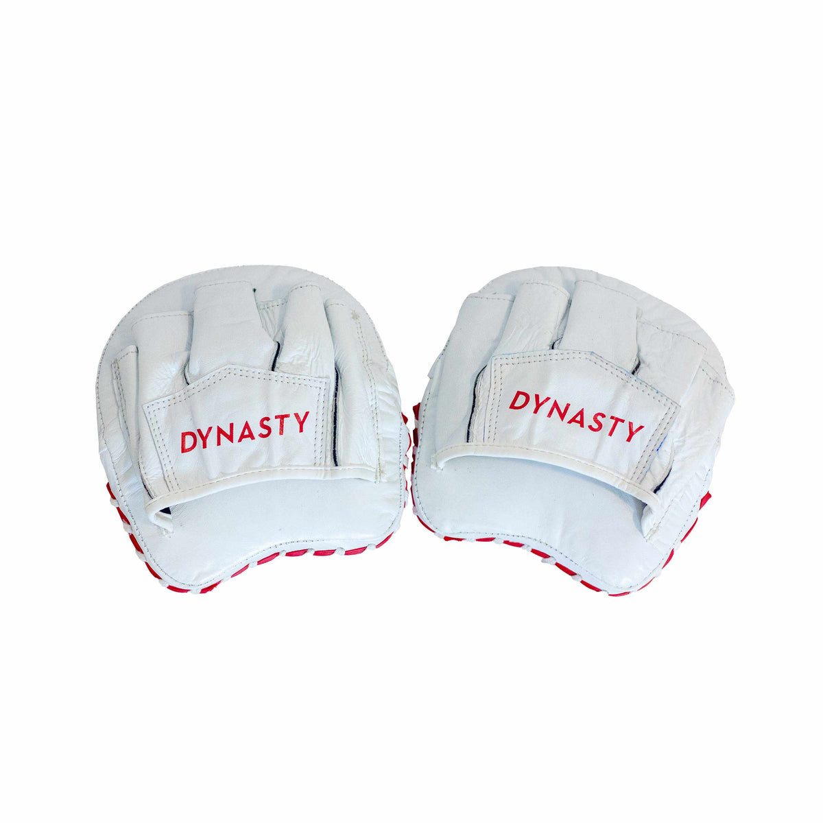 Dynasty Boxing Mini Focus Mitts-Coaching Equipment - Dynasty Clothing MMA