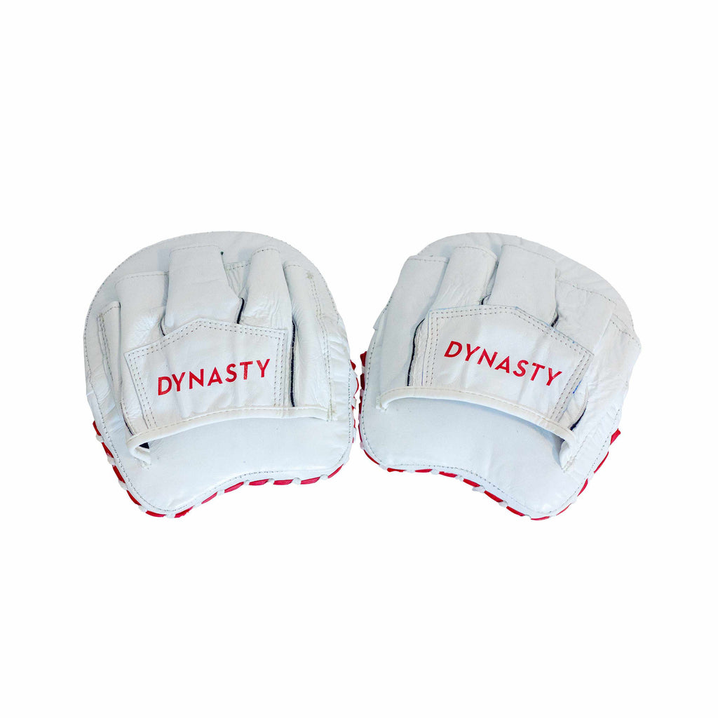 Dynasty Boxing Mini Focus Mitts-Coaching Equipment - Dynasty Clothing MMA
