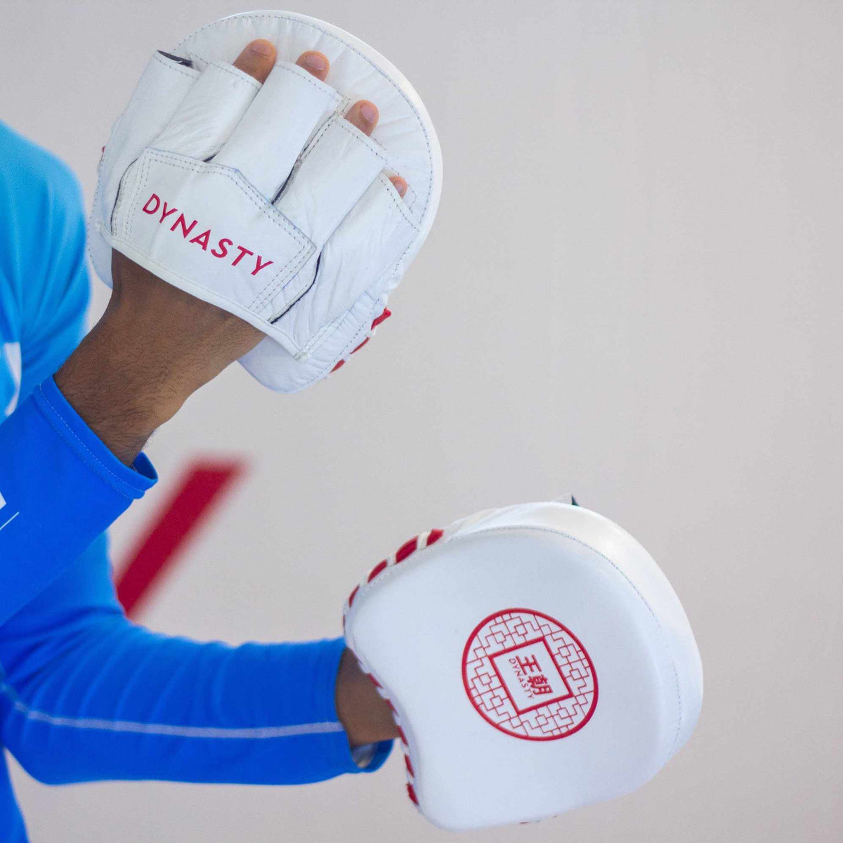 Dynasty Boxing Mini Focus Mitts-Coaching Equipment - Dynasty Clothing MMA
