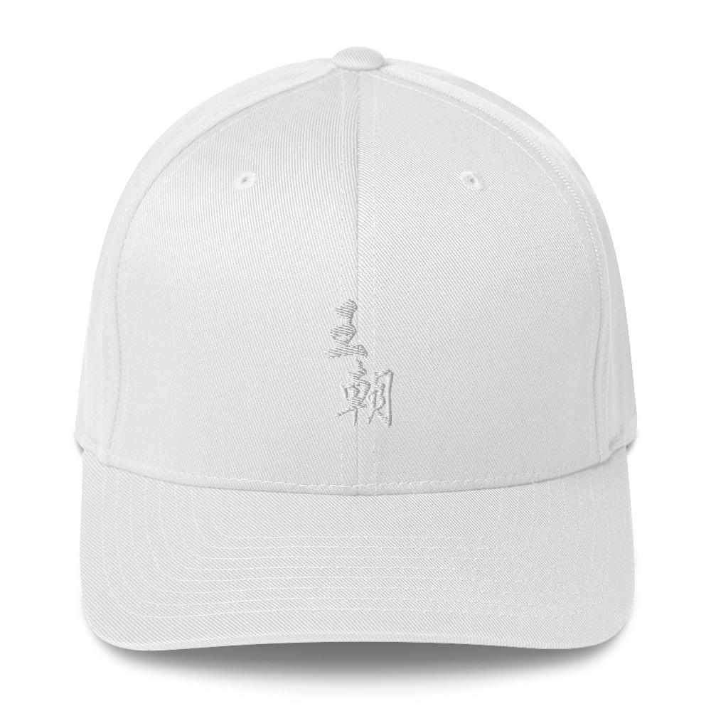 Dynasty Chinese Logo Athletic Cap (White Stitch)-Hats / Caps - Dynasty Clothing MMA
