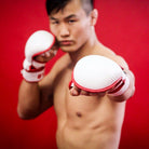 Dynasty Emperor MMA Sparring Gloves-MMA Gloves - Dynasty Clothing MMA