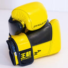 Dynasty Legendary 16oz Boxing Gloves-Boxing Gloves - Dynasty Clothing MMA