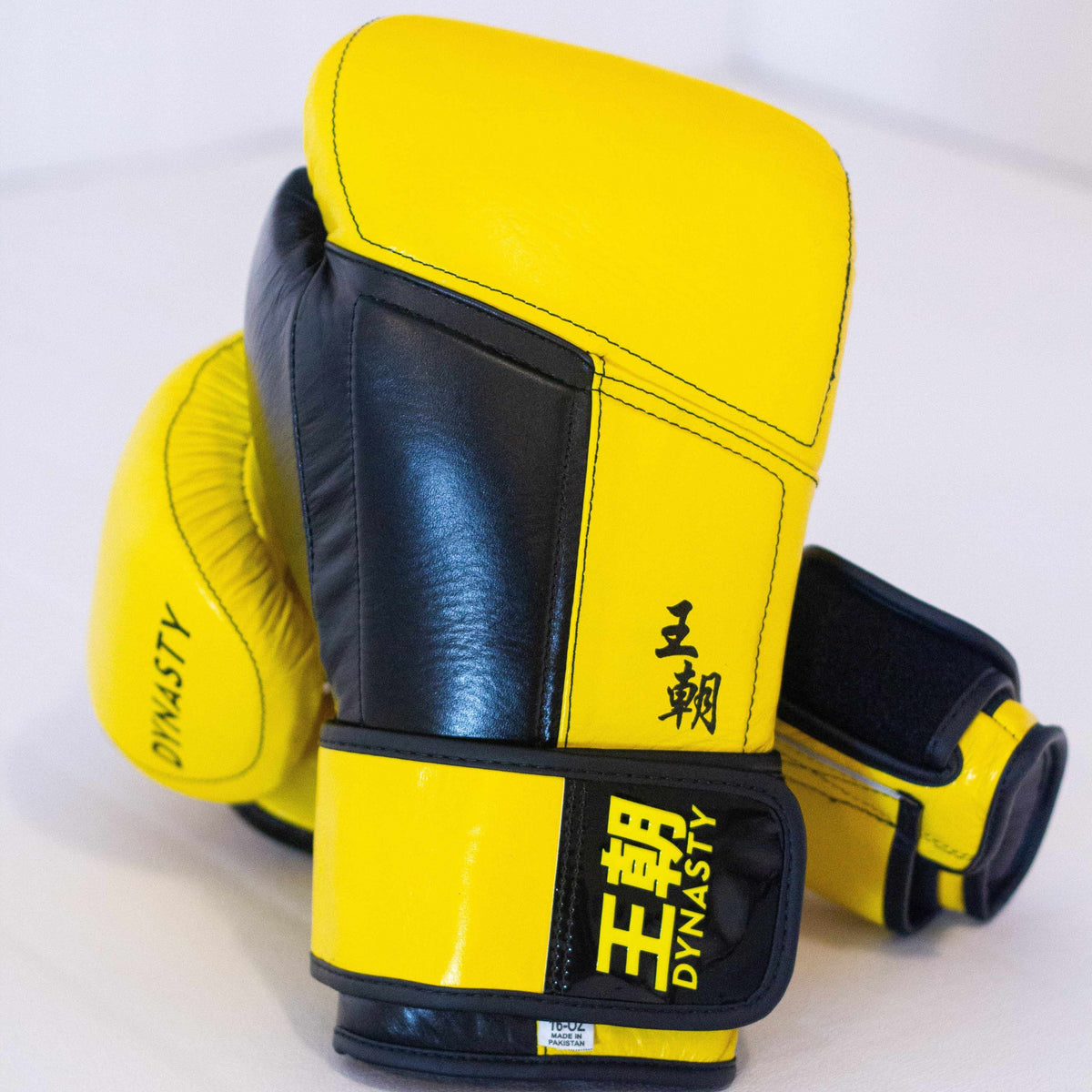 Dynasty Legendary 16oz Boxing Gloves-Boxing Gloves - Dynasty Clothing MMA
