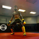 Dynasty Legendary 16oz Boxing Gloves-Boxing Gloves - Dynasty Clothing MMA