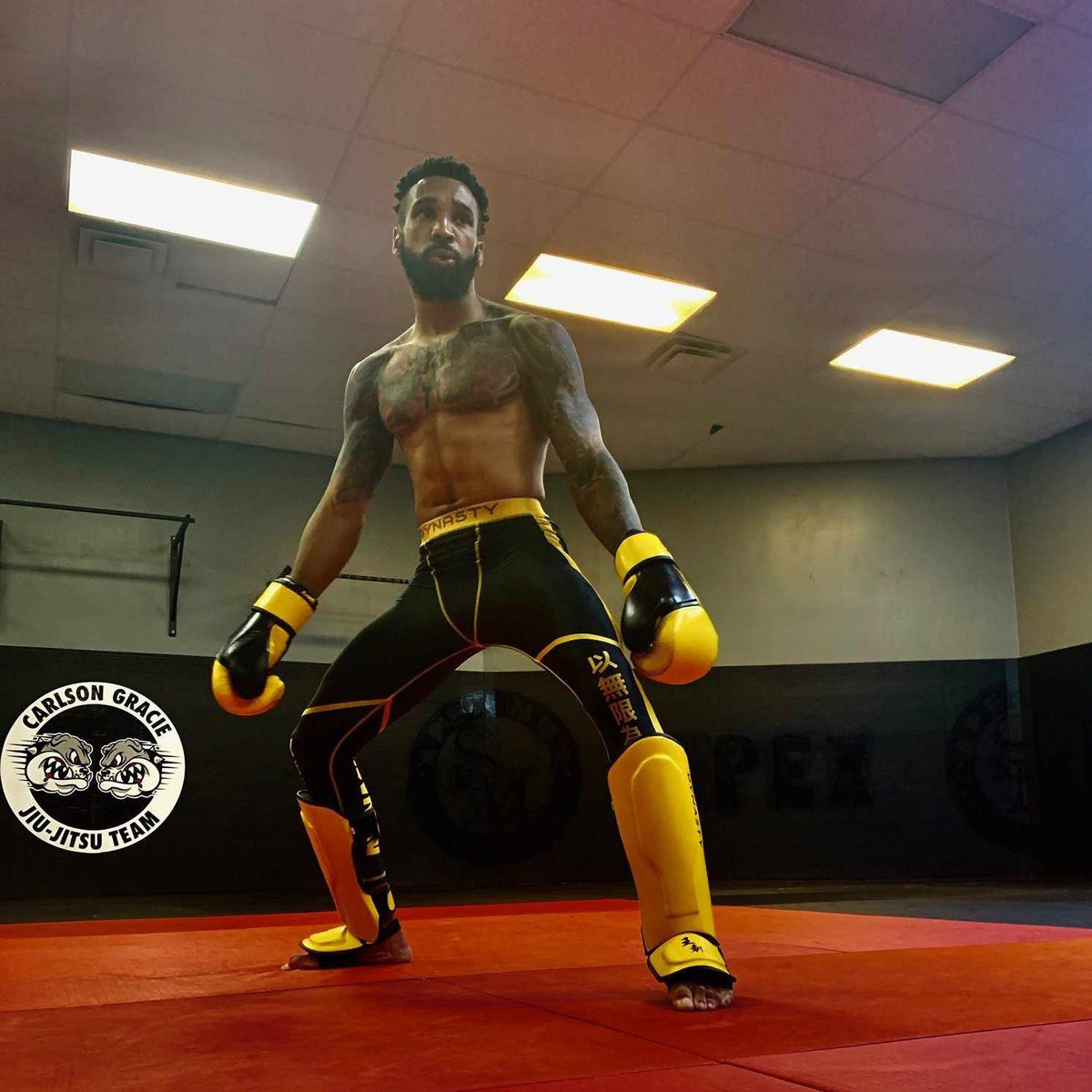 Dynasty Legendary 16oz Boxing Gloves-Boxing Gloves - Dynasty Clothing MMA