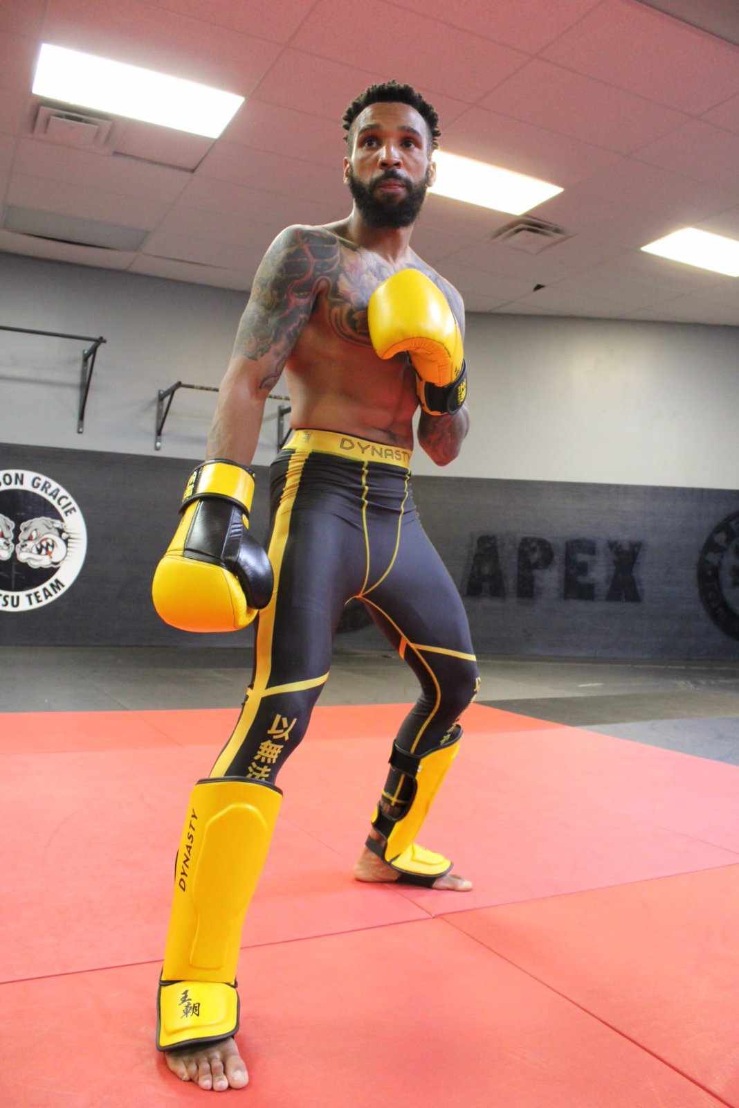 Dynasty Legendary 16oz Boxing Gloves-Boxing Gloves - Dynasty Clothing MMA